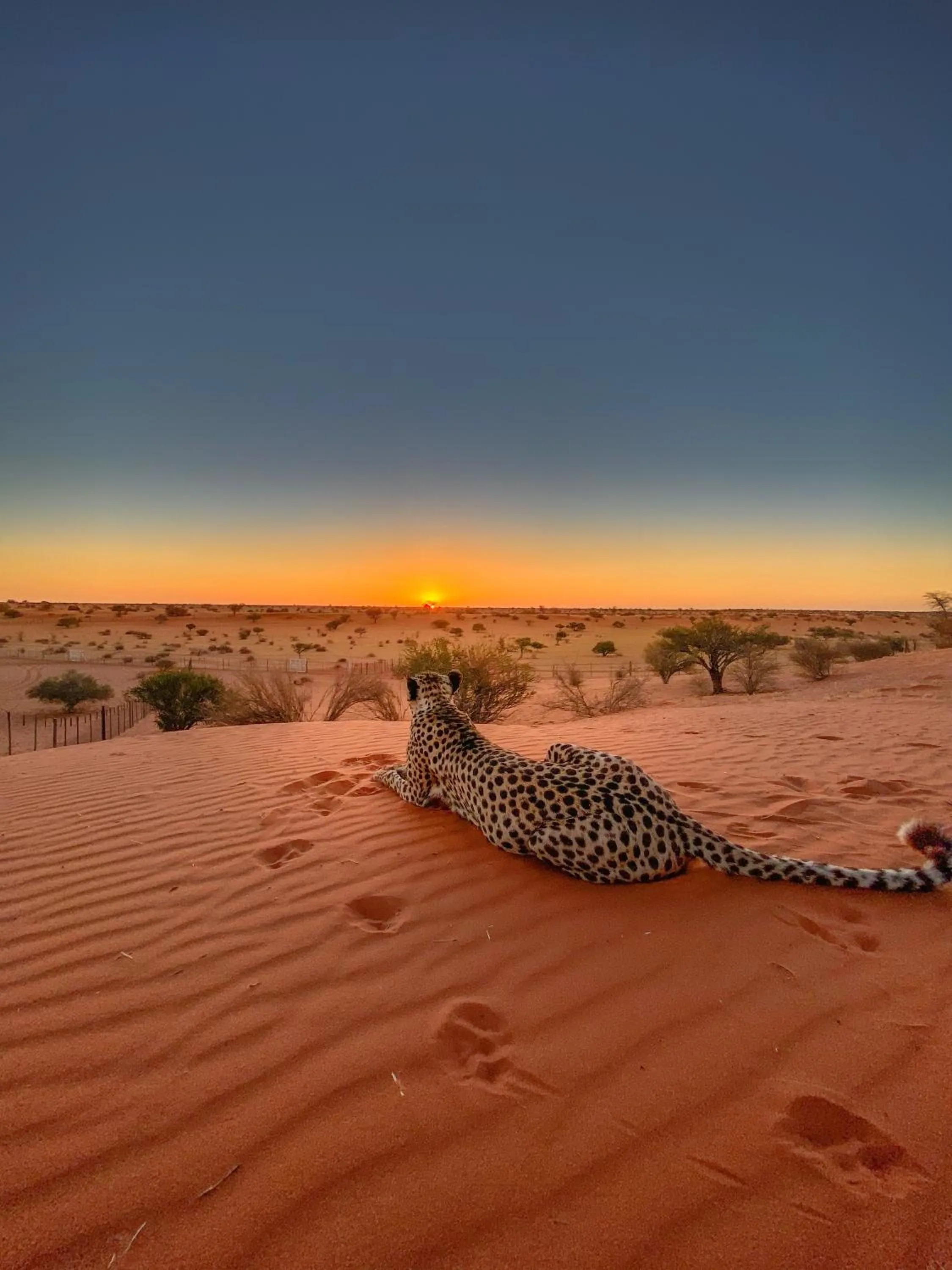 Natural landscape in Bagatelle Kalahari Game Ranch