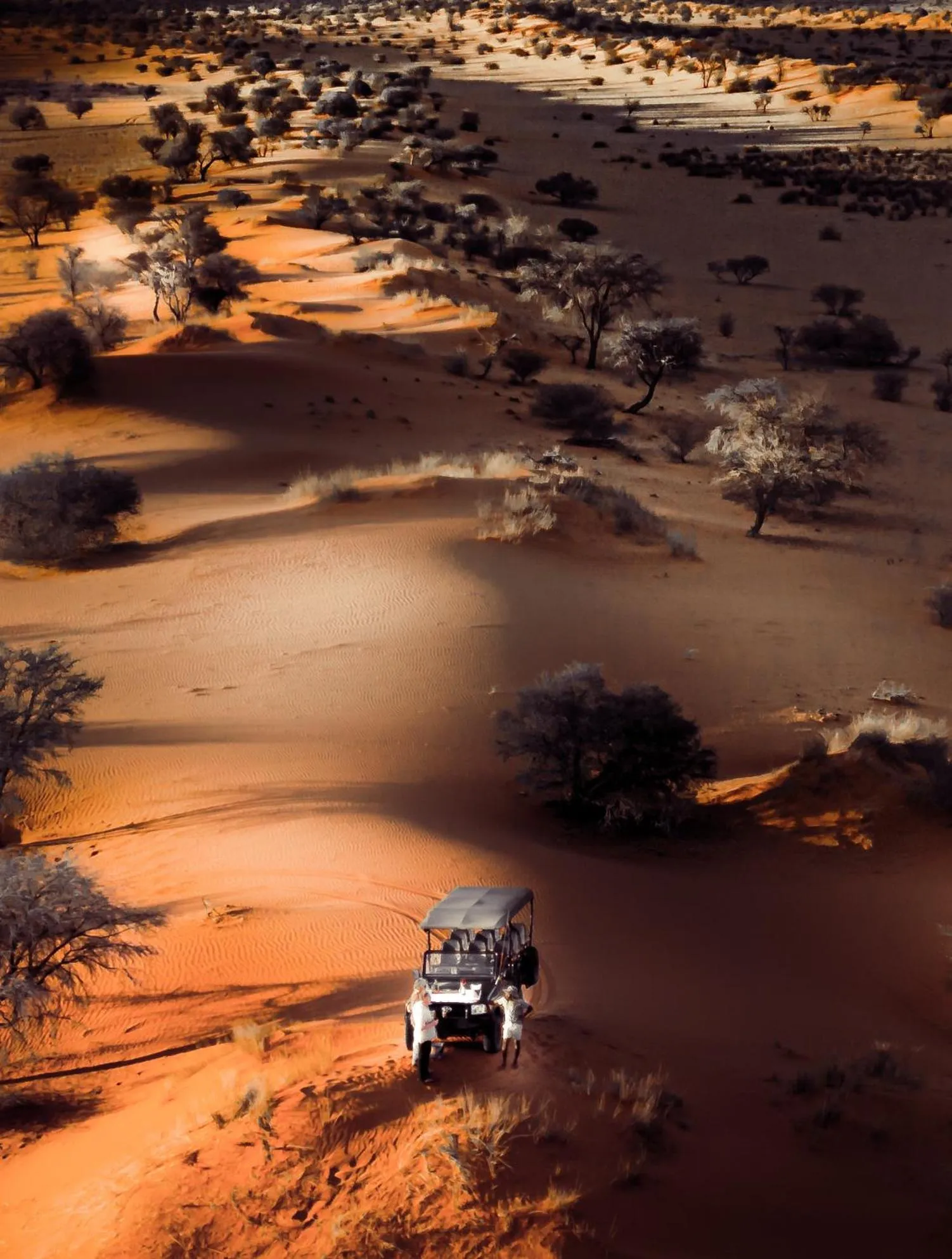 Natural landscape in Bagatelle Kalahari Game Ranch