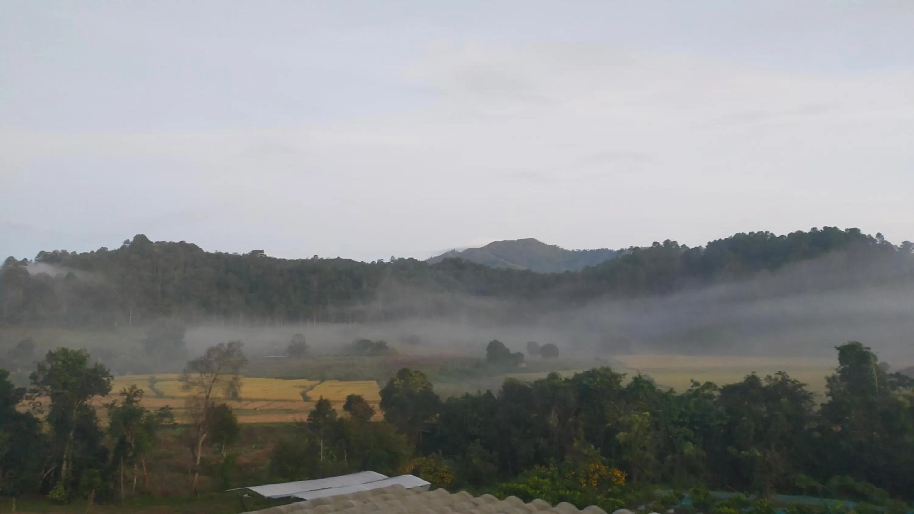 Natural landscape in Mong Homestay Resort
