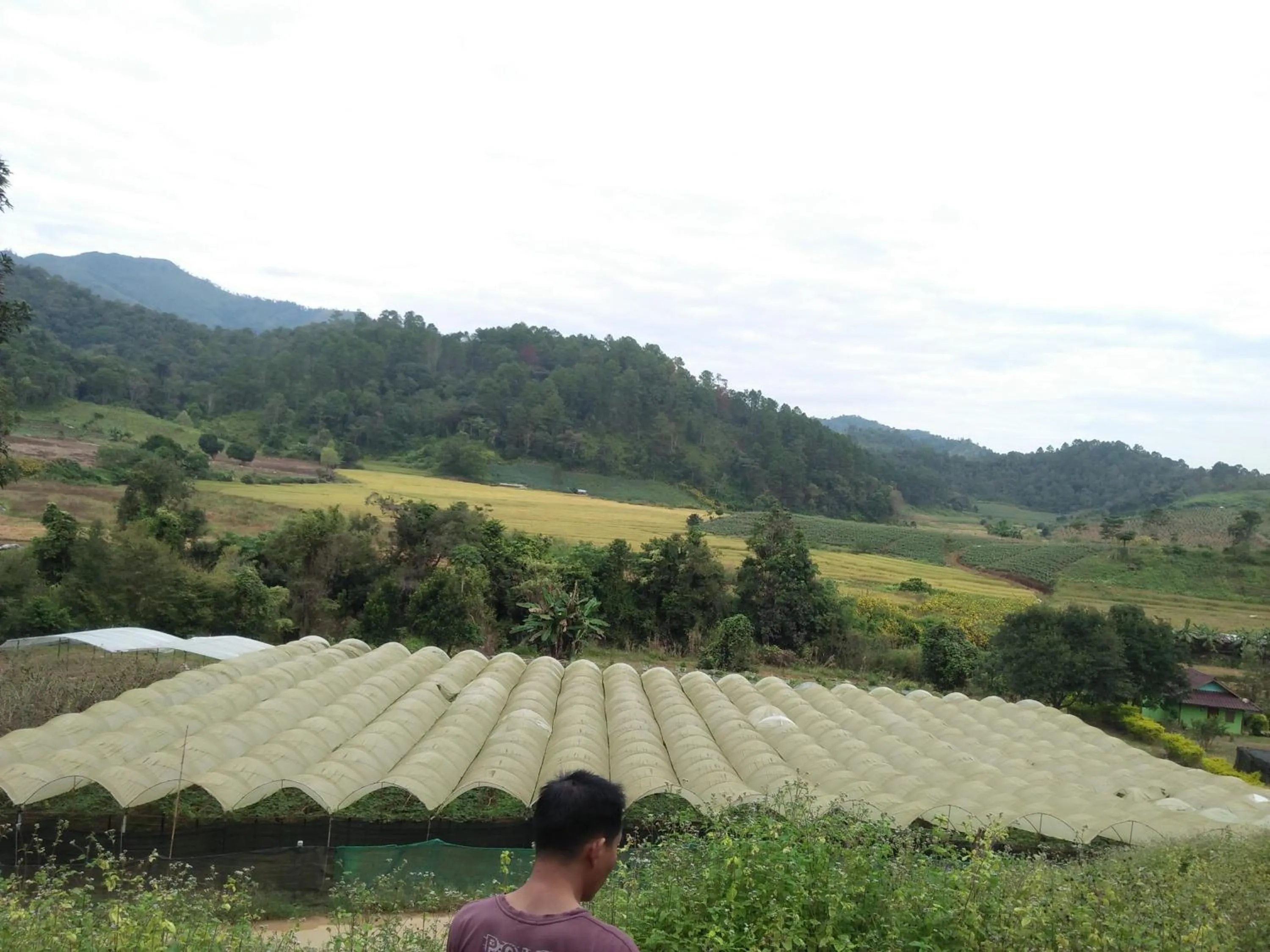 Mong Homestay Resort