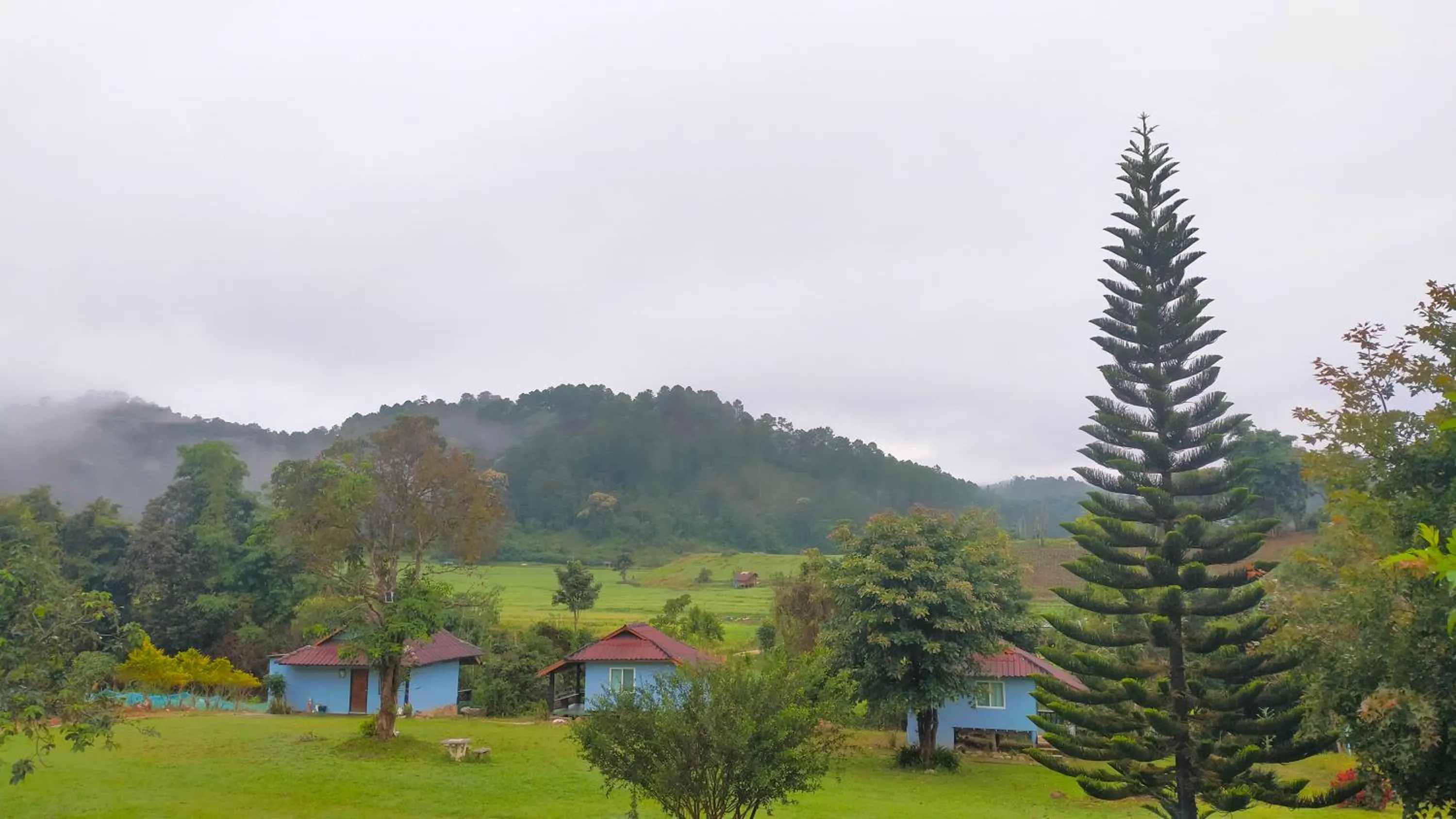 Mong Homestay Resort