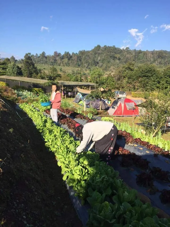 Mong Homestay Resort