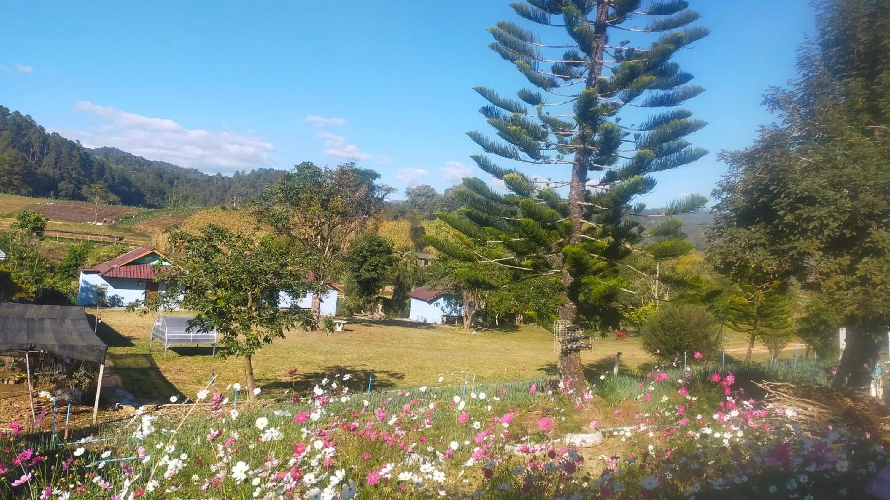 Mong Homestay Resort