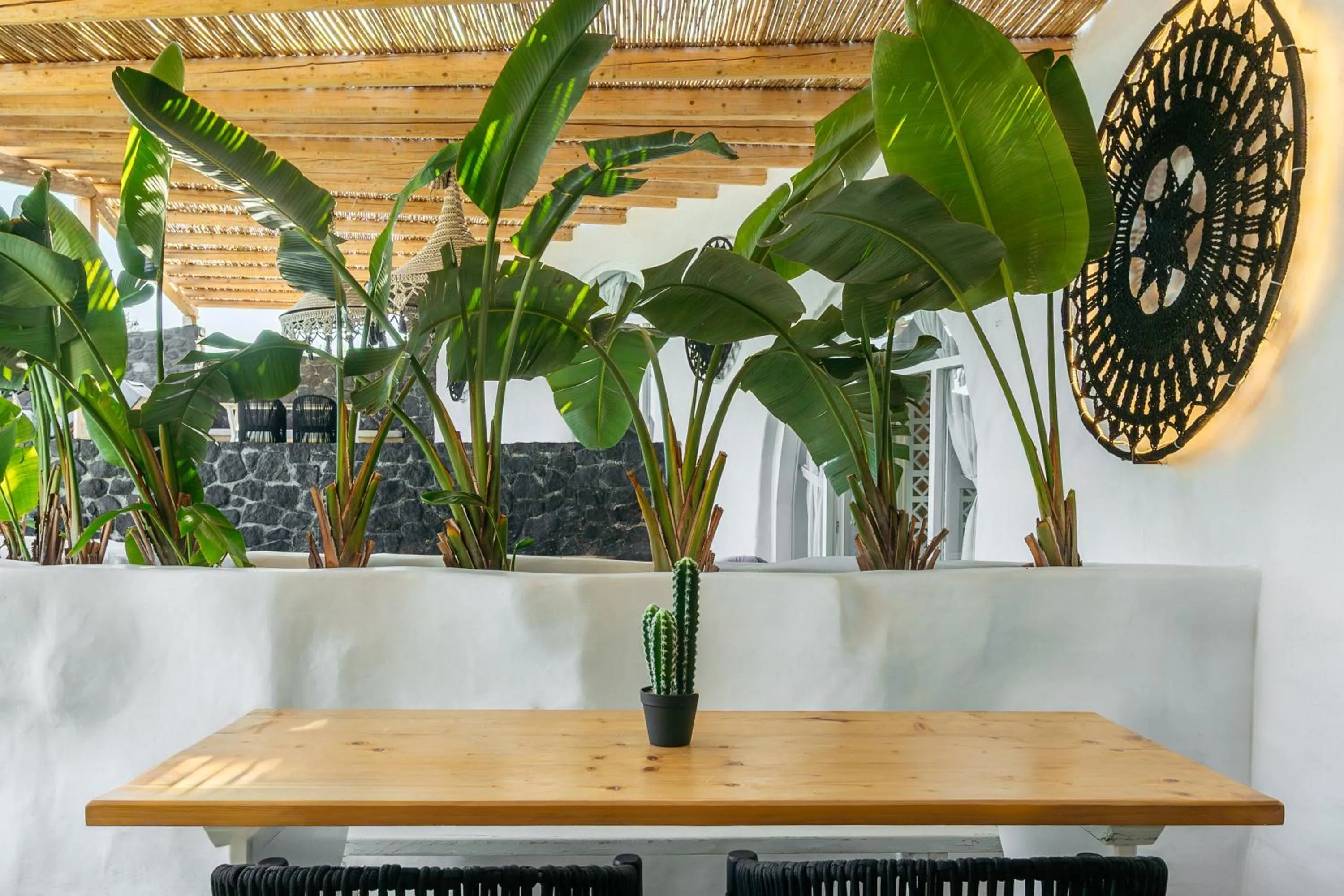 Theano Cave Suites & Villas