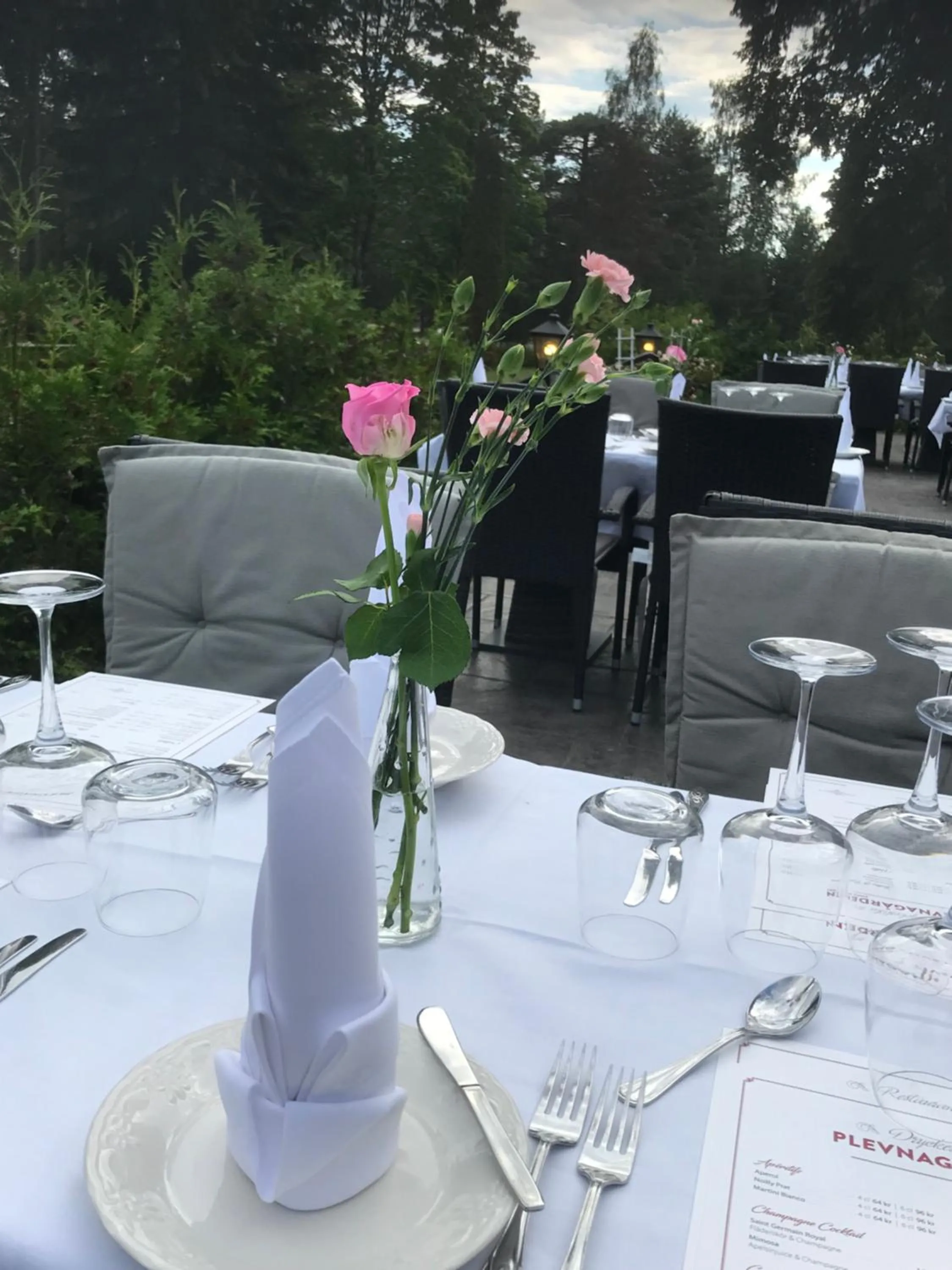 Food in Hotell Plevnagården