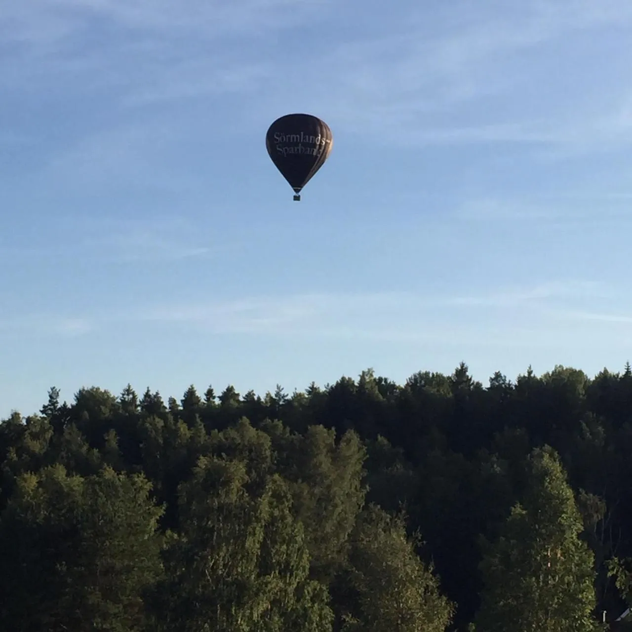 Activities in Hotell Plevnagården