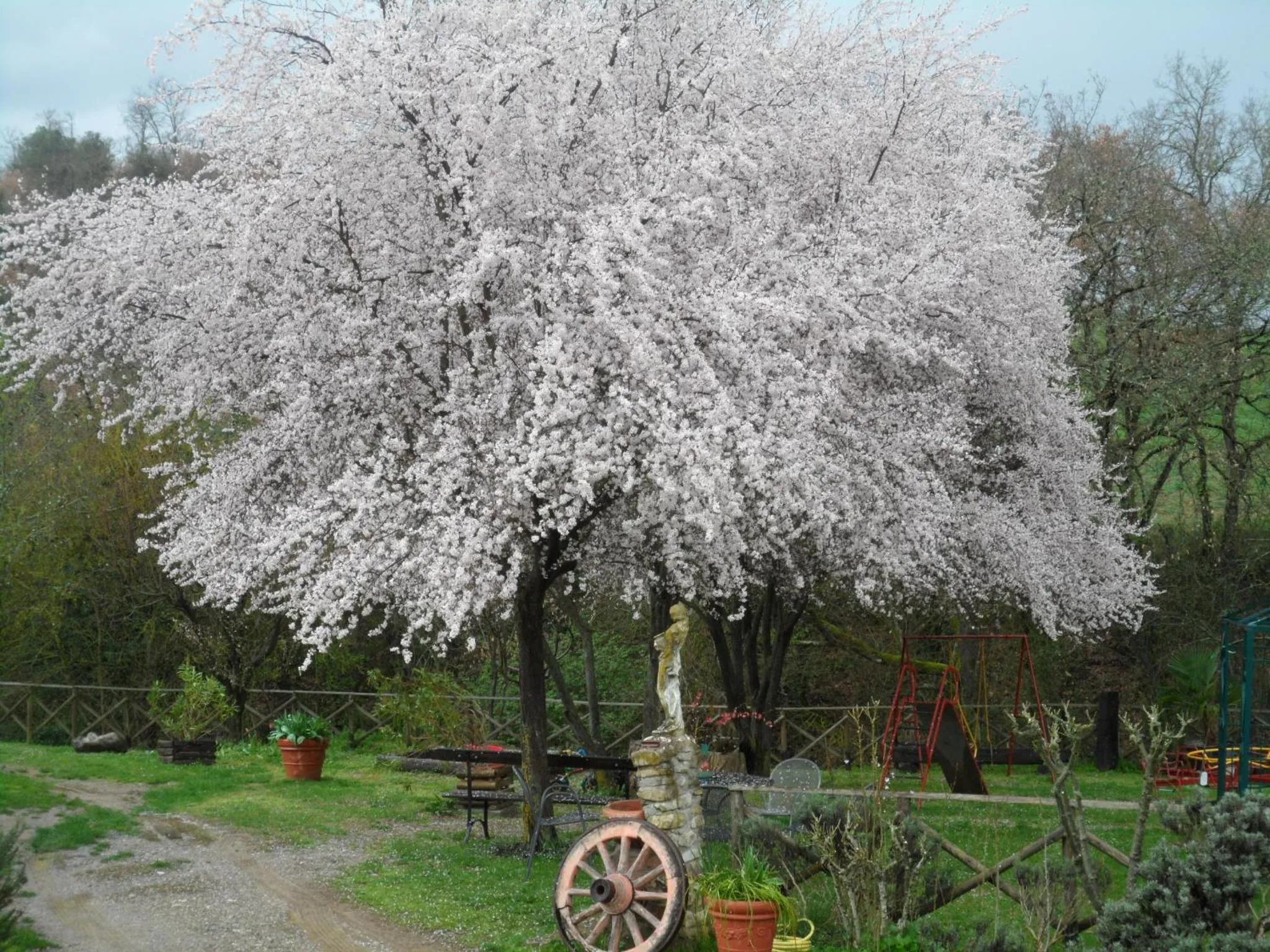 Garden in Locanda Delle Noci