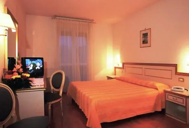 Double Room in Hotel Park Venezia Double Room in Hotel Park Venezia