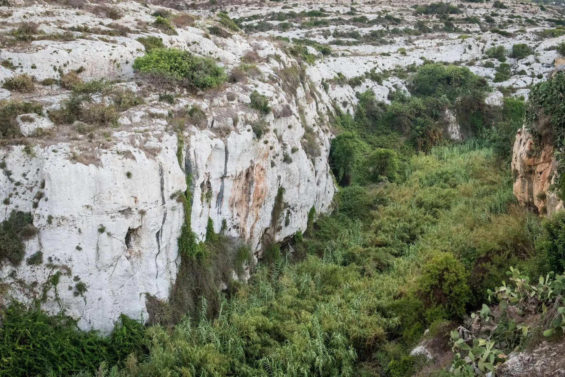 View (from property/room) in Cesca's Boutique Hotel
