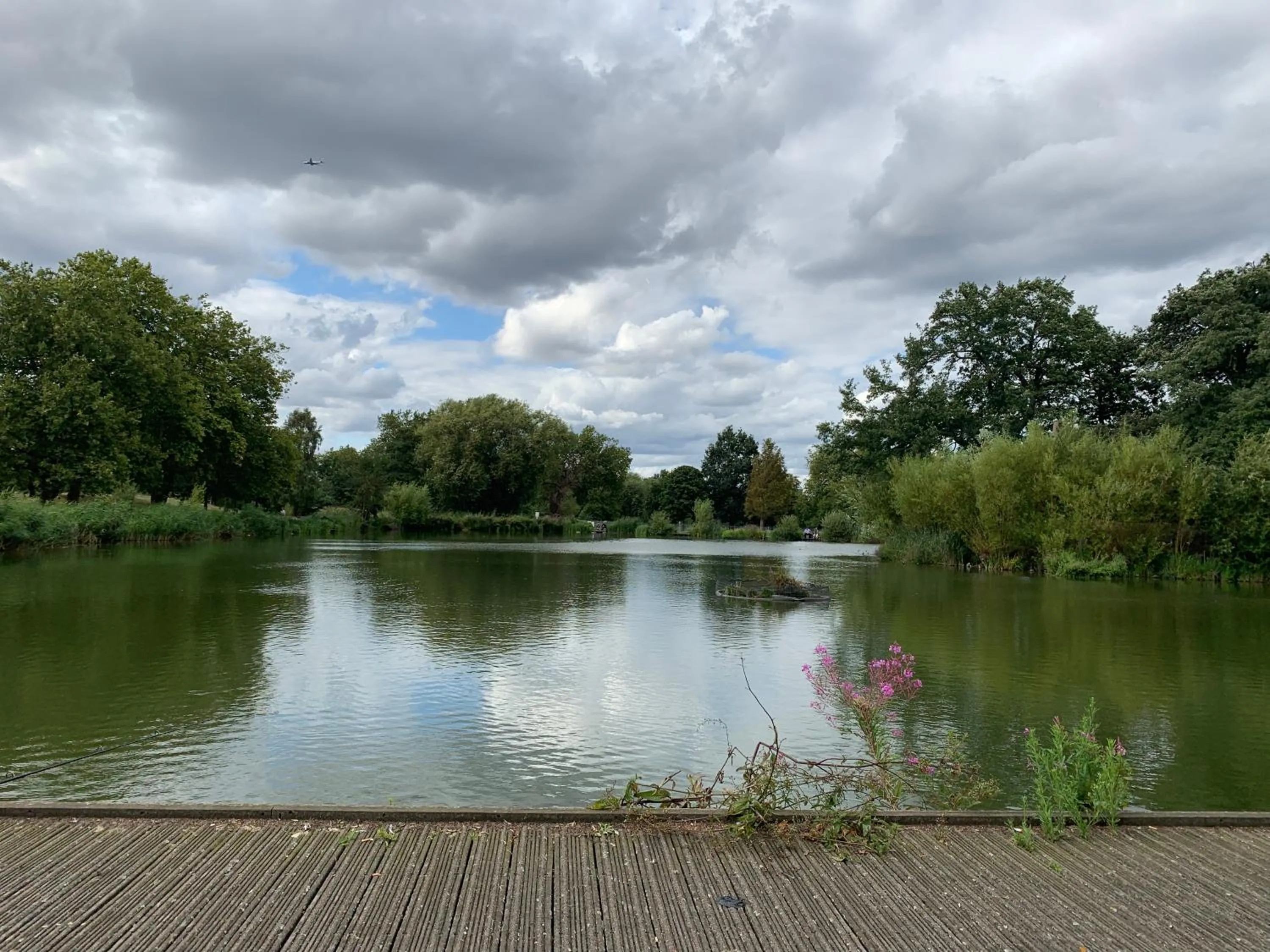 Natural landscape in WelcomeStay Clapham Junction 2 Bedroom Apartment