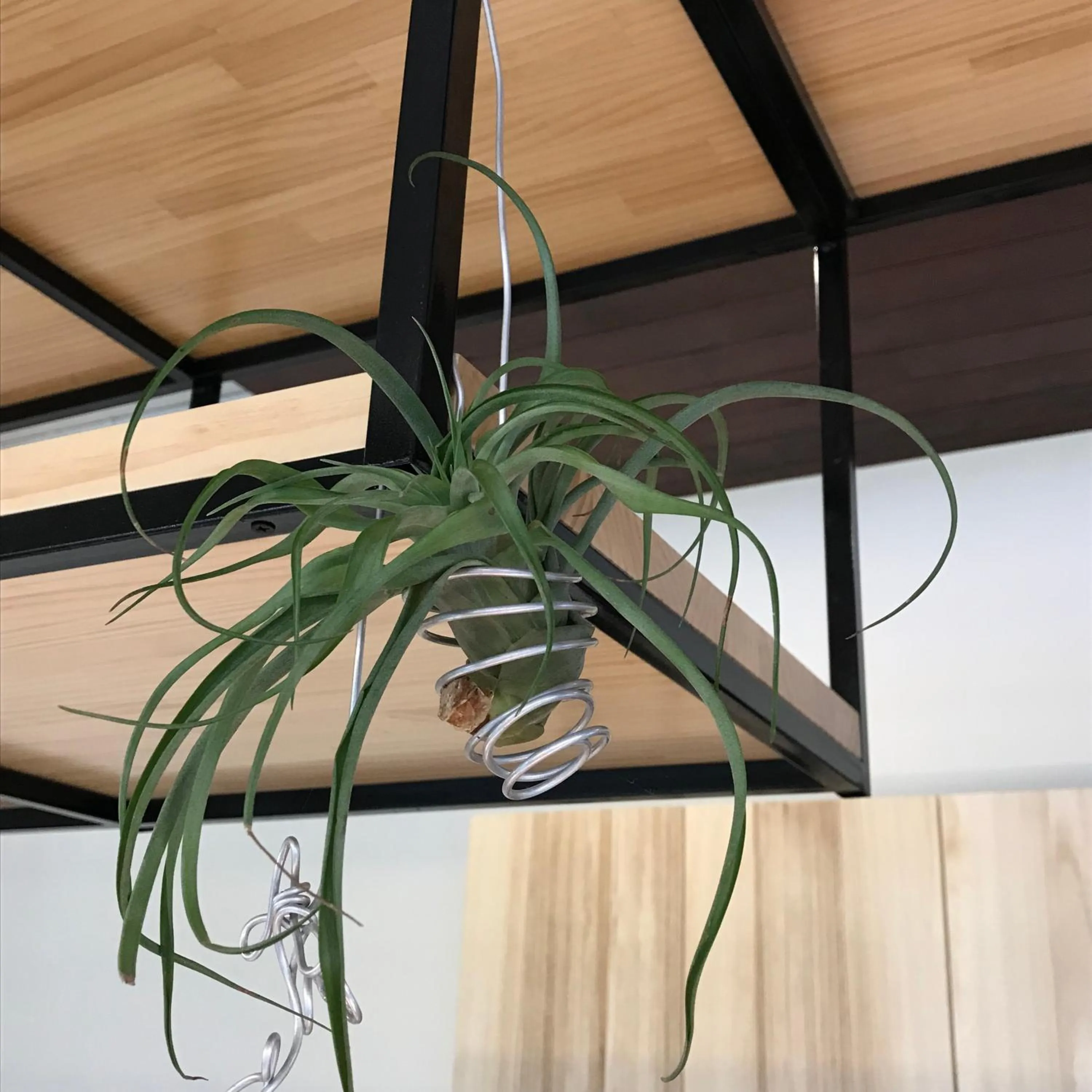 Decorative detail in Chi Chu B&B