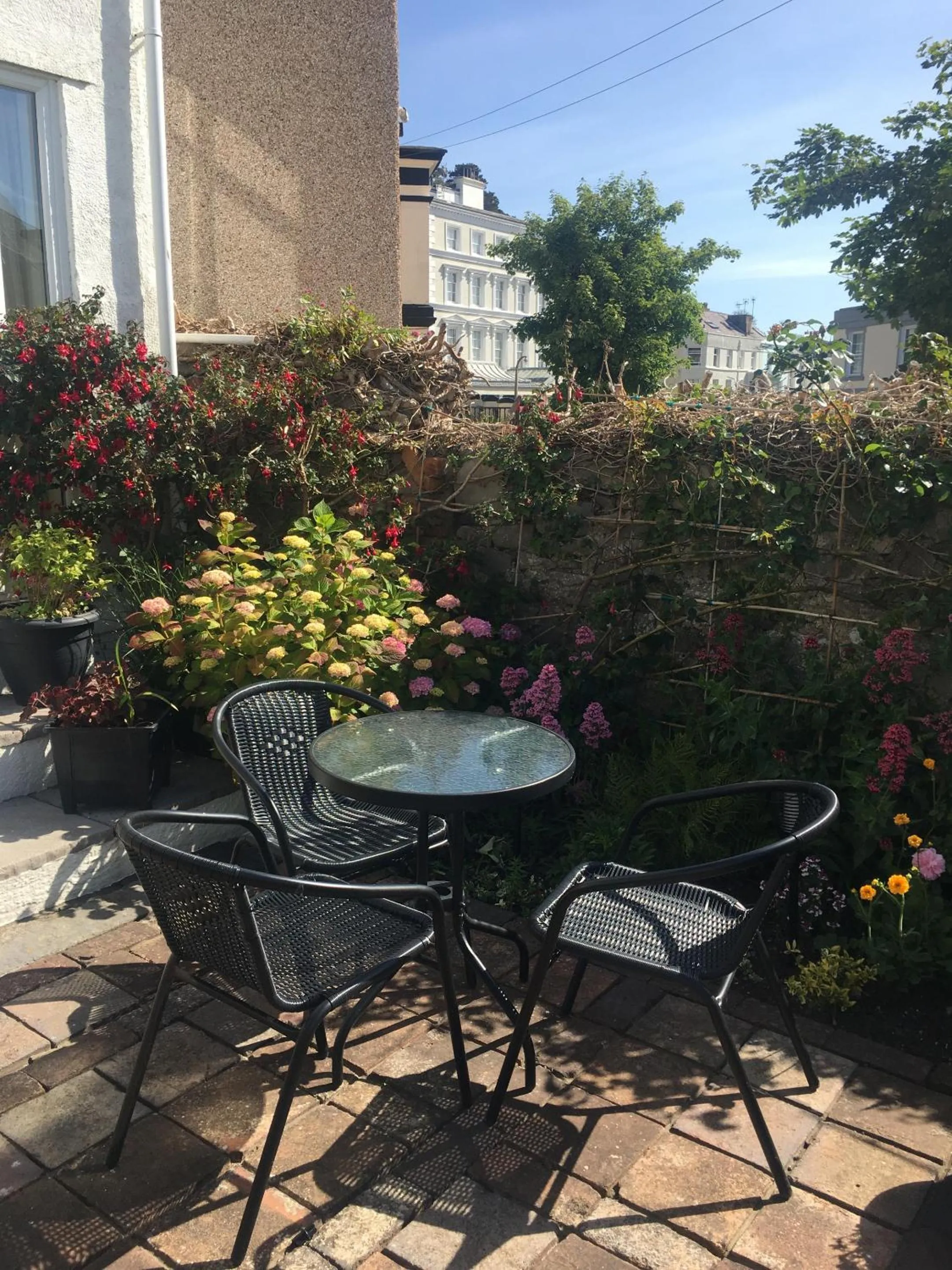 Garden in Seaclyffe Hotel Ltd