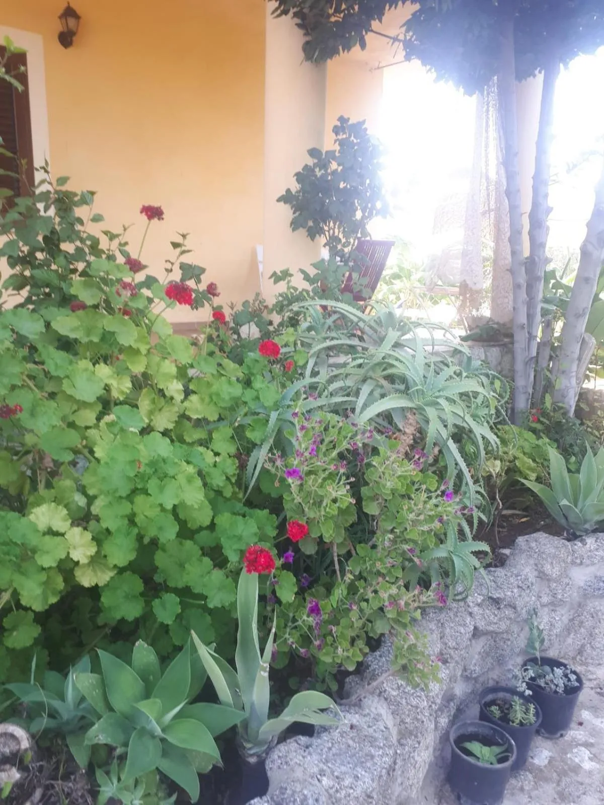 Spring in A Turri Rooms and Restaurant