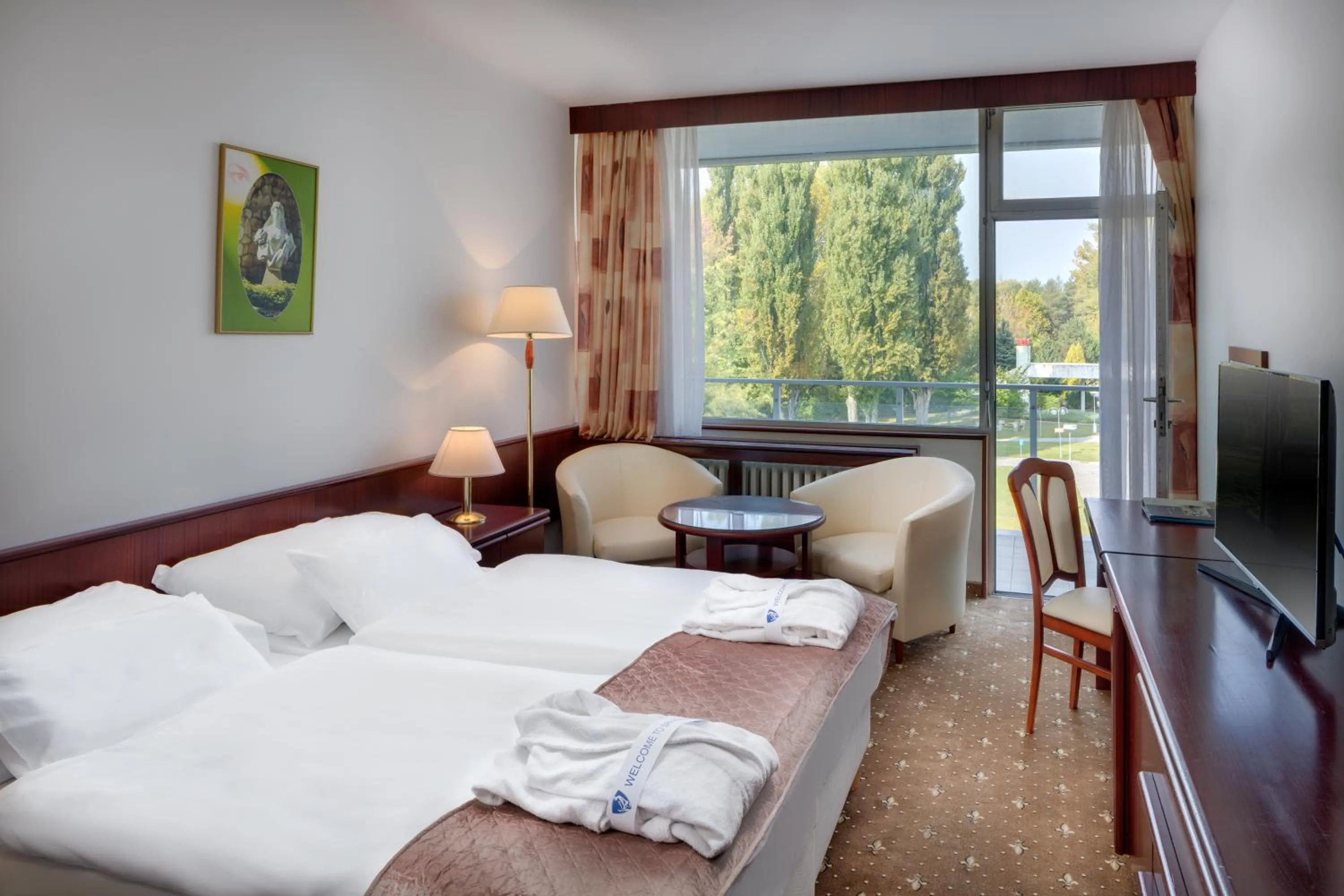 TV and multimedia, Bed in Ensana Splendid