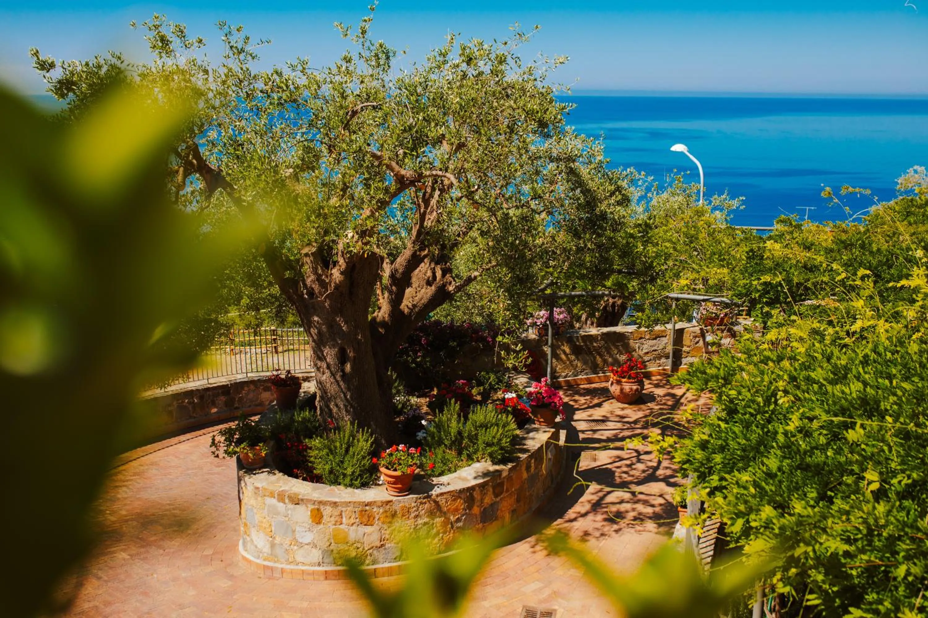 Residenza Golfo Degli Ulivi