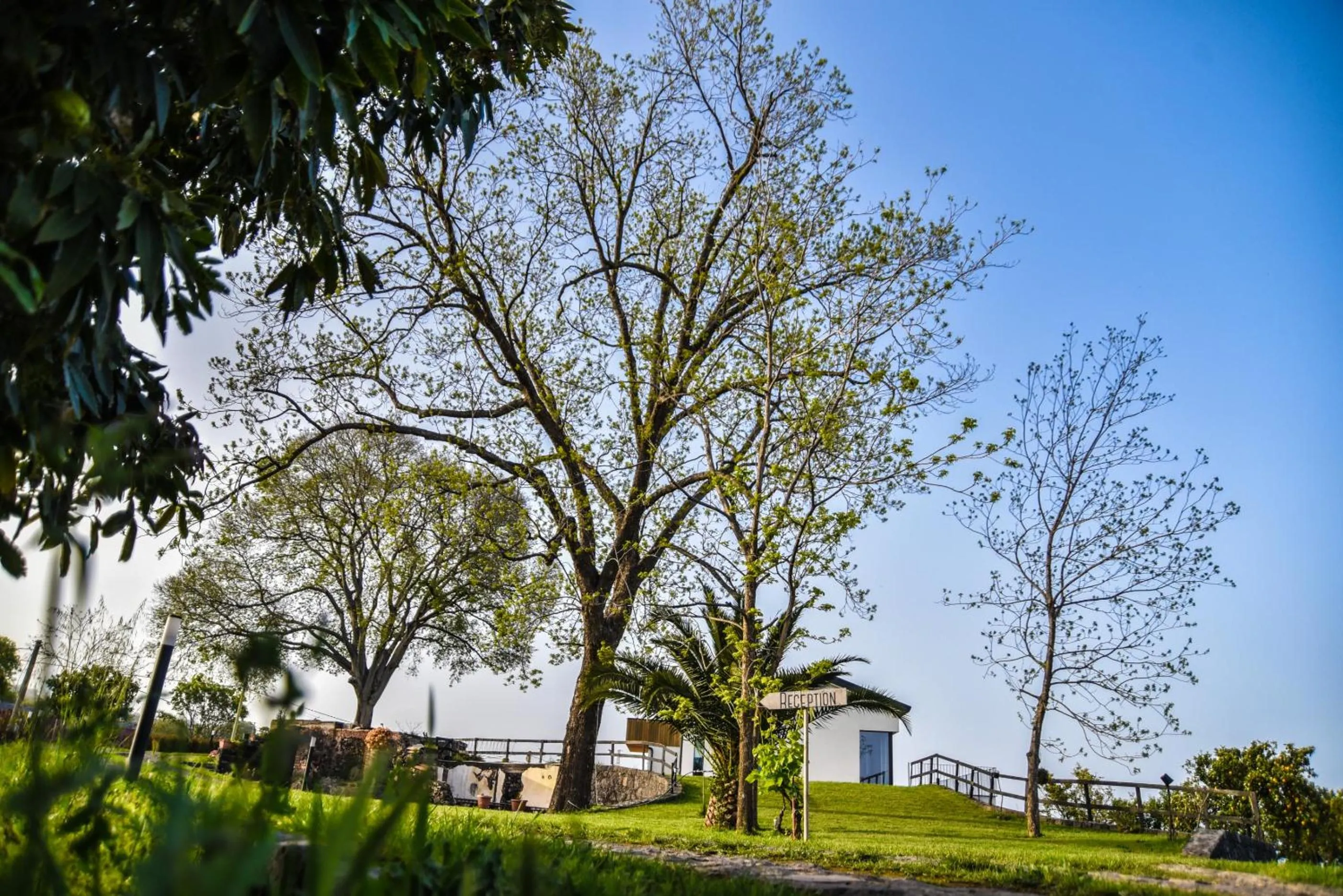 Garden in AGRO Sicily