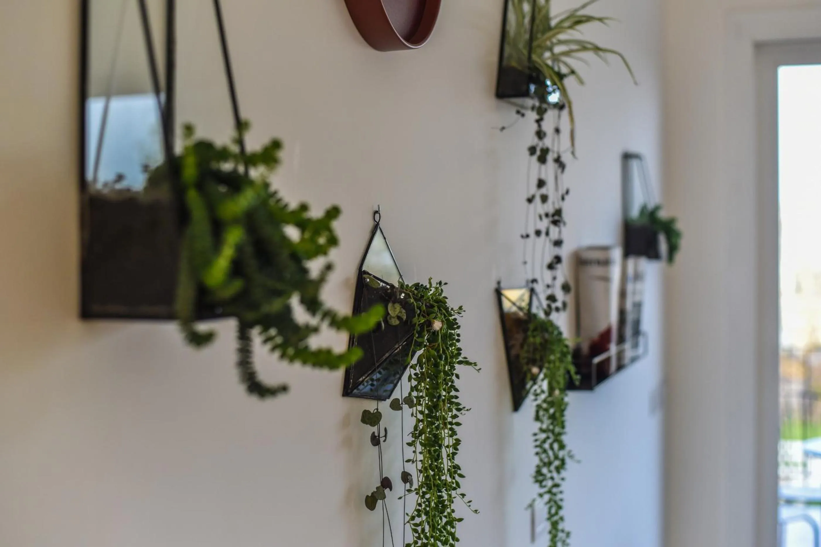 Decorative detail in AGRO Sicily