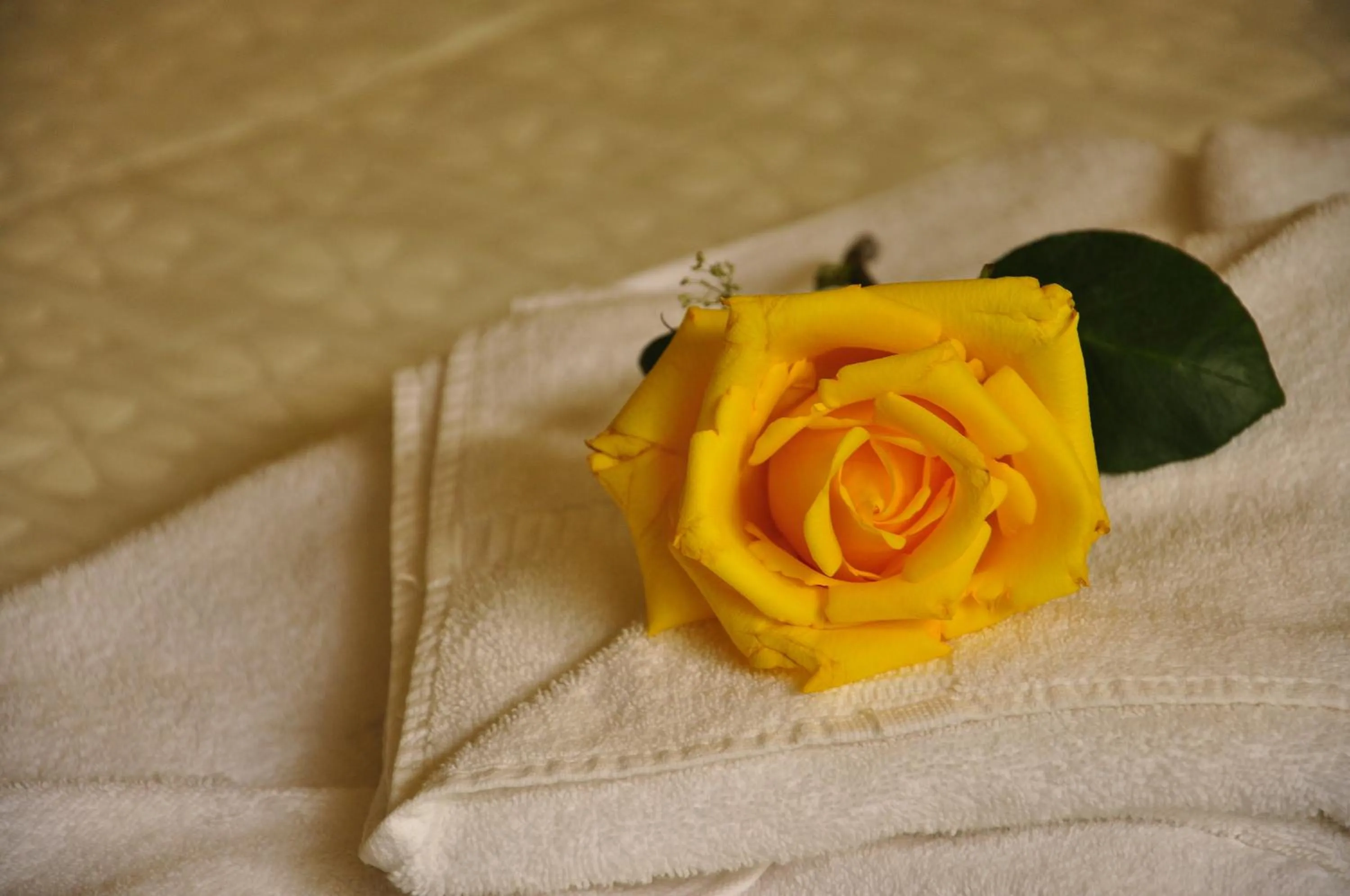 Bed in Hotel Donde Marcelo