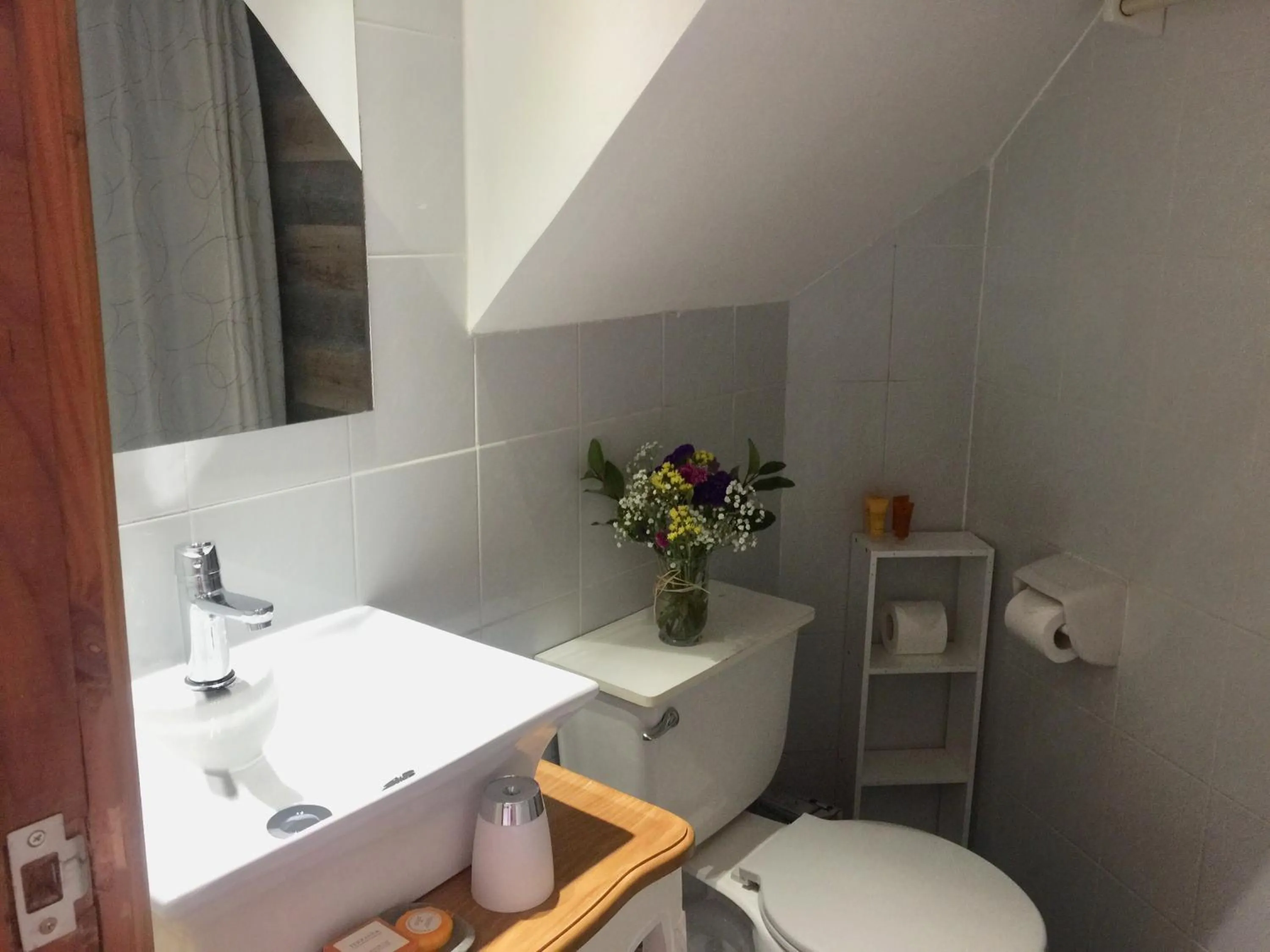 Toilet in Hotel Frutillar