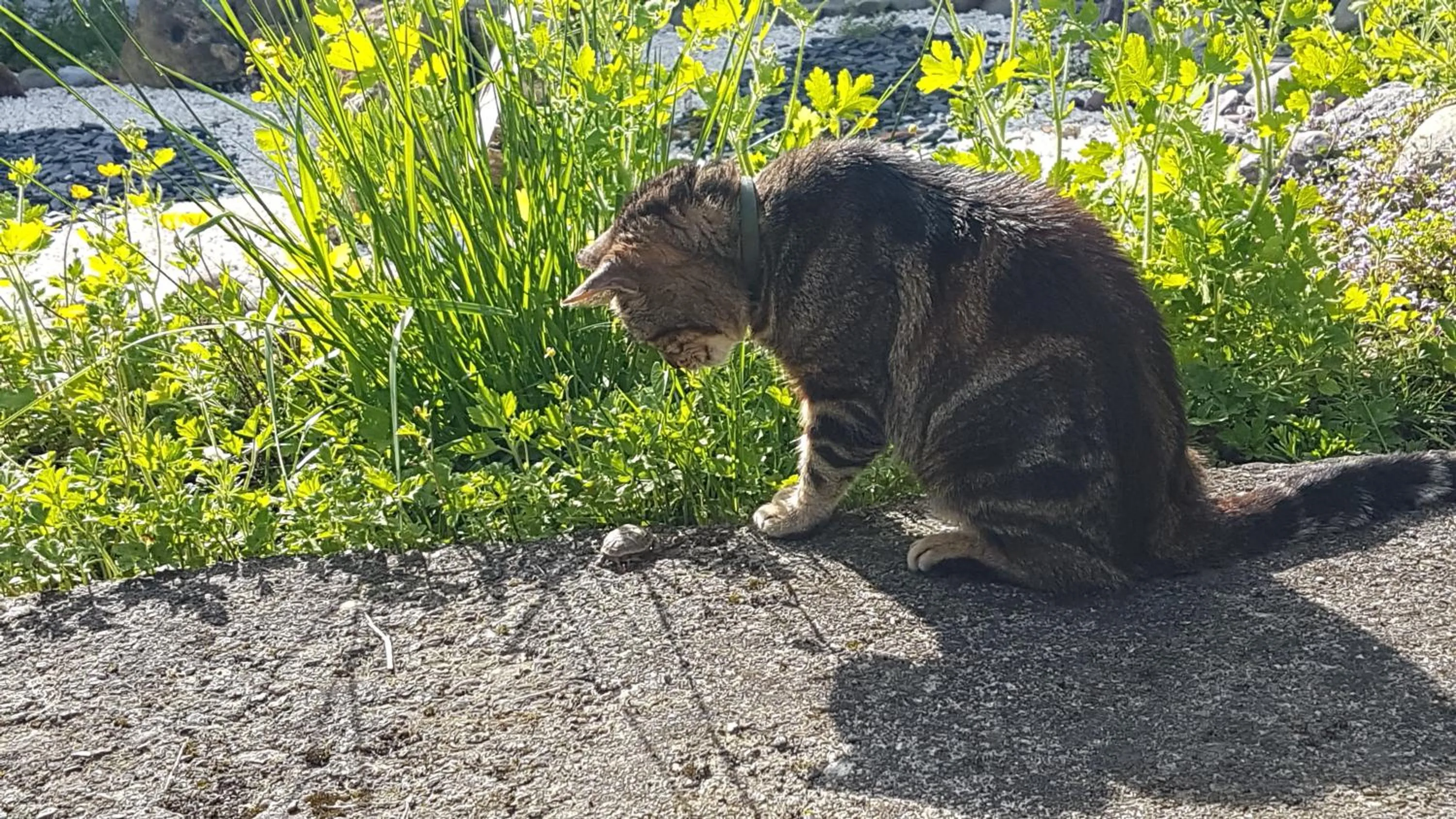 Chambres d'hôtes Chez Valérie Garage motos et vélos