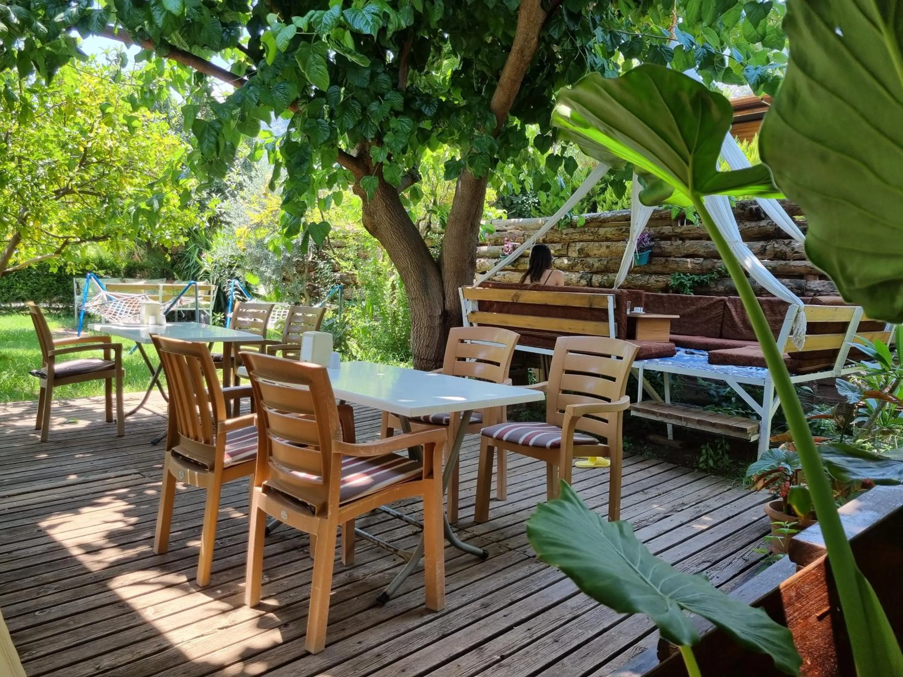 Garden in Sunset Boutique Hotel & Apartments