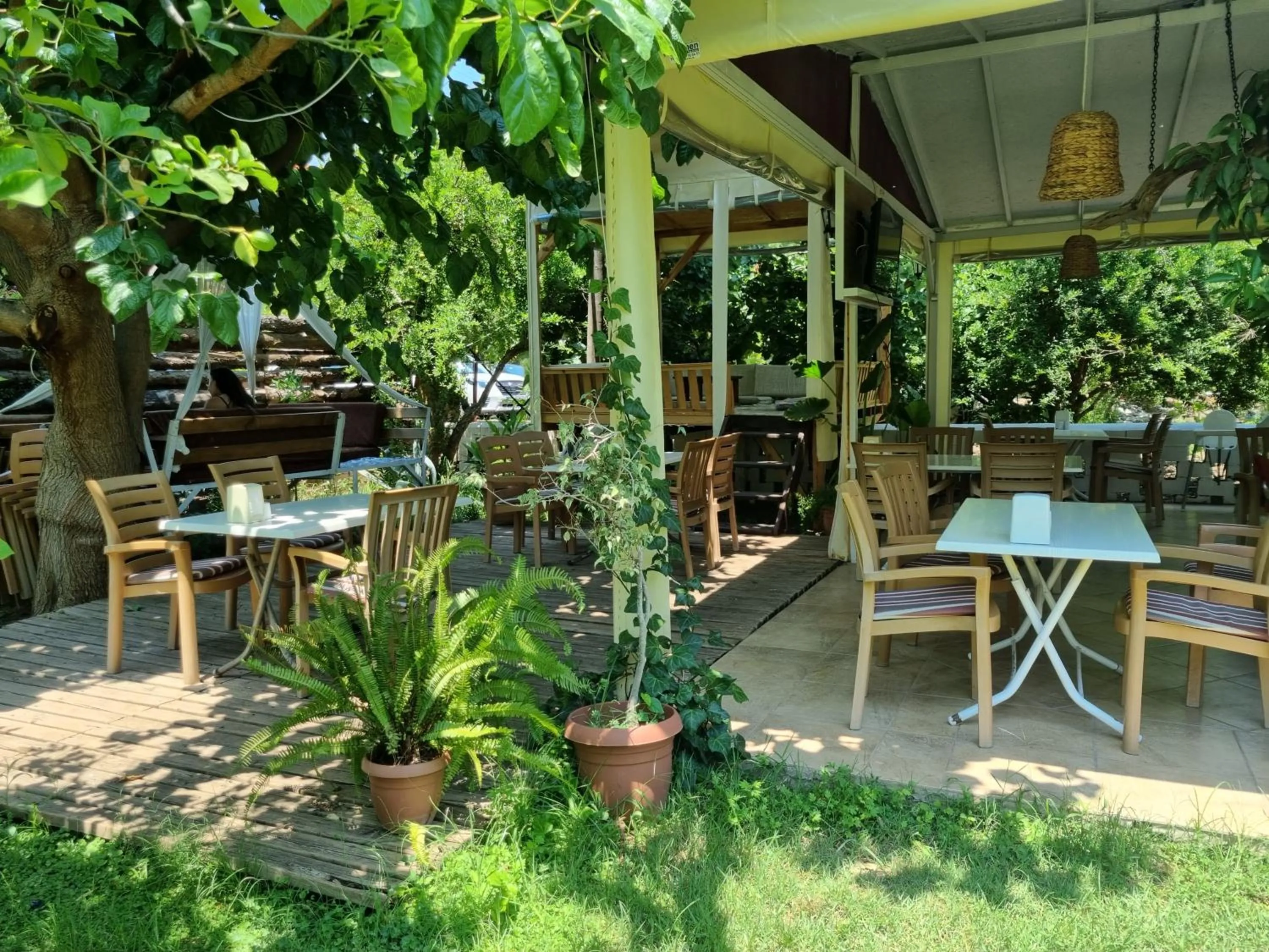 Garden in Sunset Boutique Hotel & Apartments