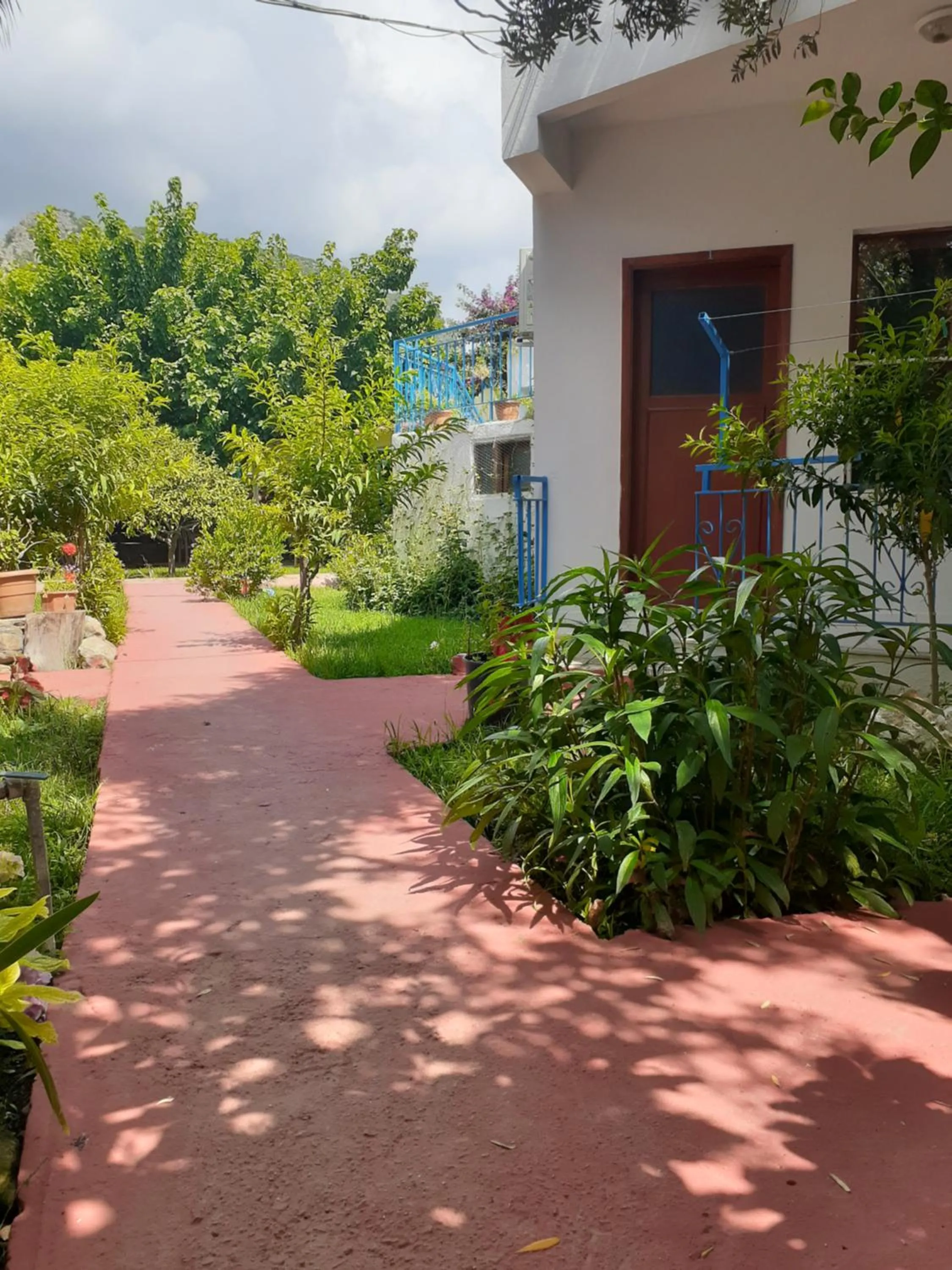 Garden in Sunset Boutique Hotel & Apartments