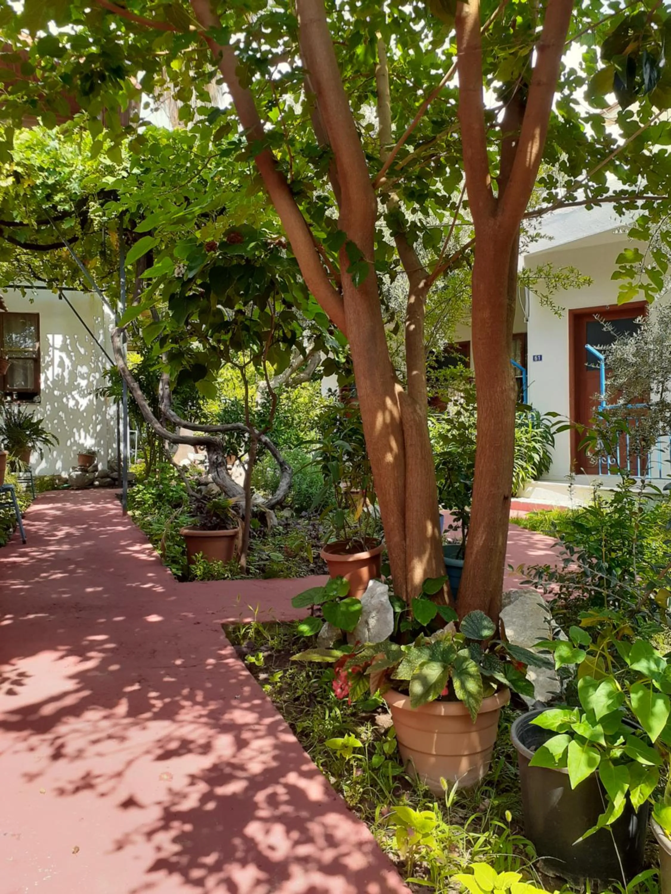 Garden in Sunset Boutique Hotel & Apartments