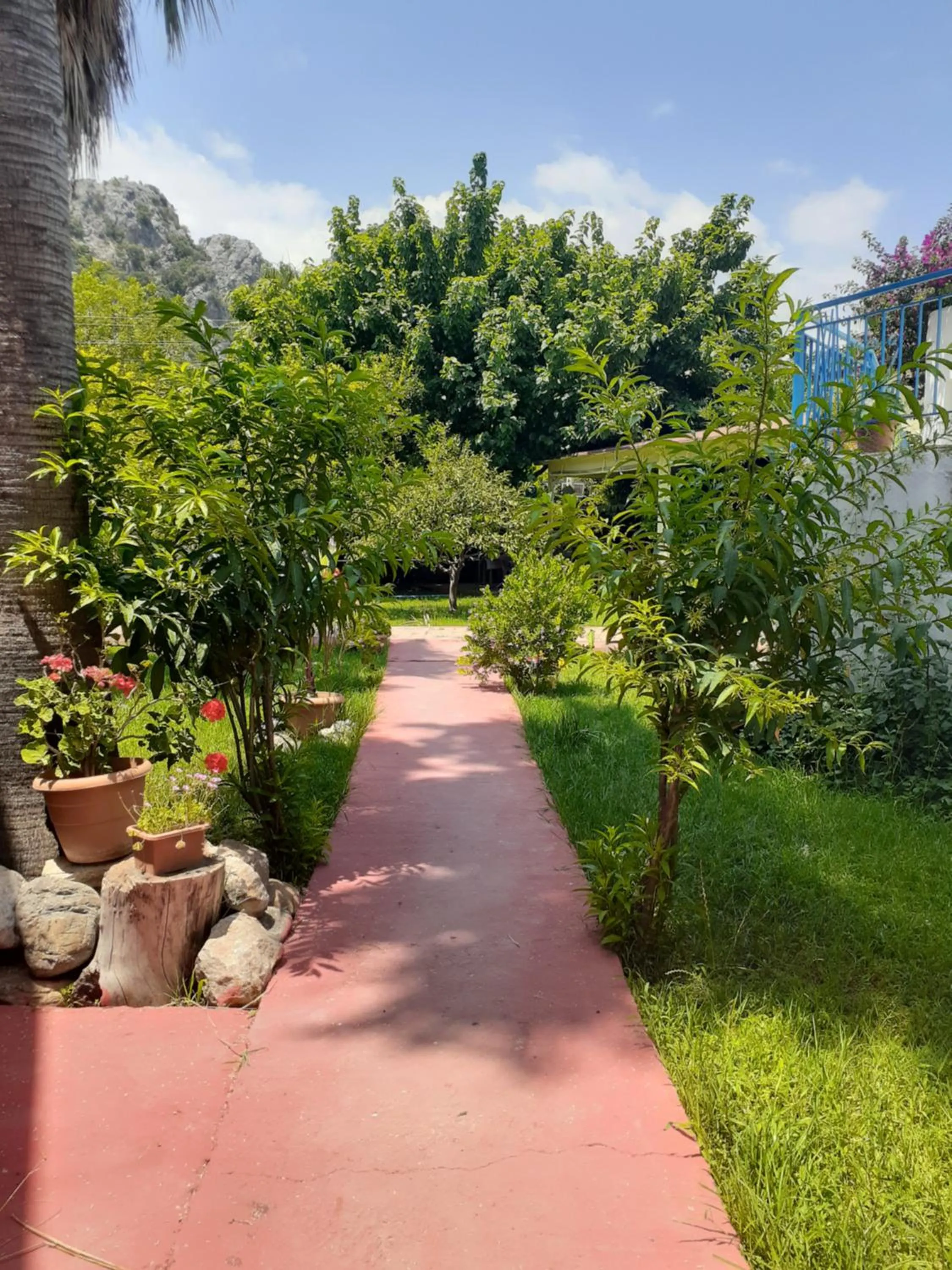 Garden in Sunset Boutique Hotel & Apartments