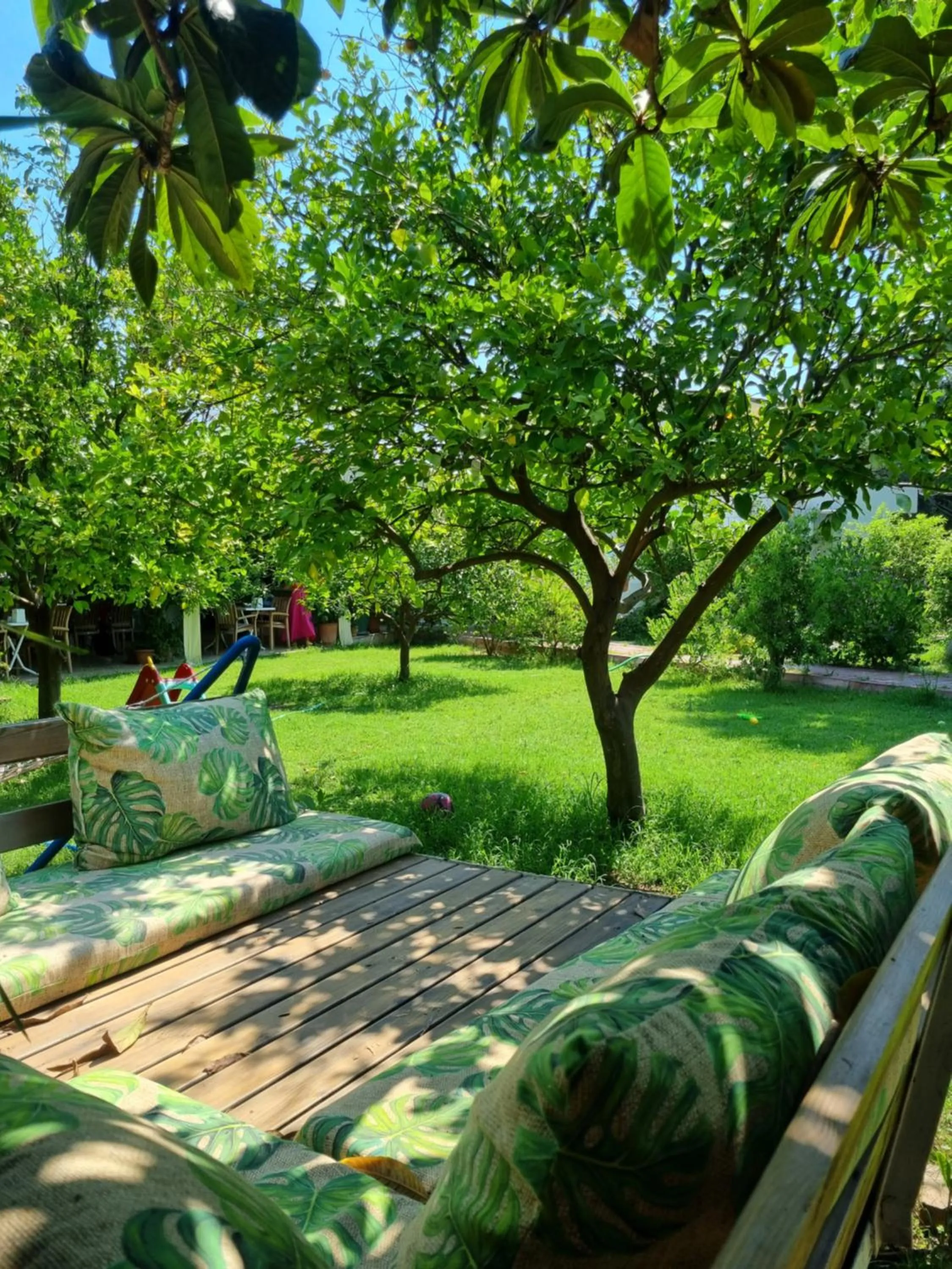 Garden in Sunset Boutique Hotel & Apartments