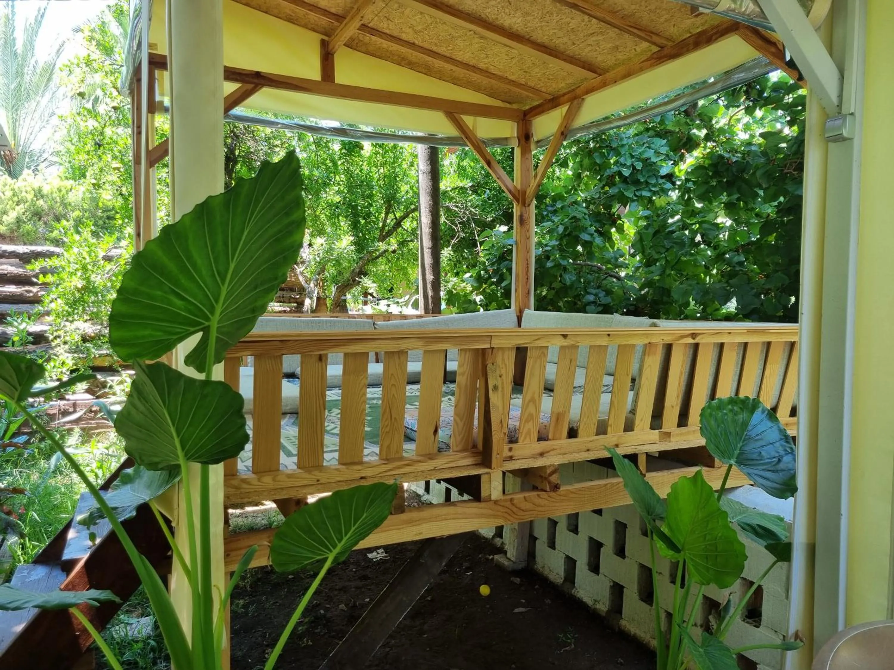 Garden in Sunset Boutique Hotel & Apartments