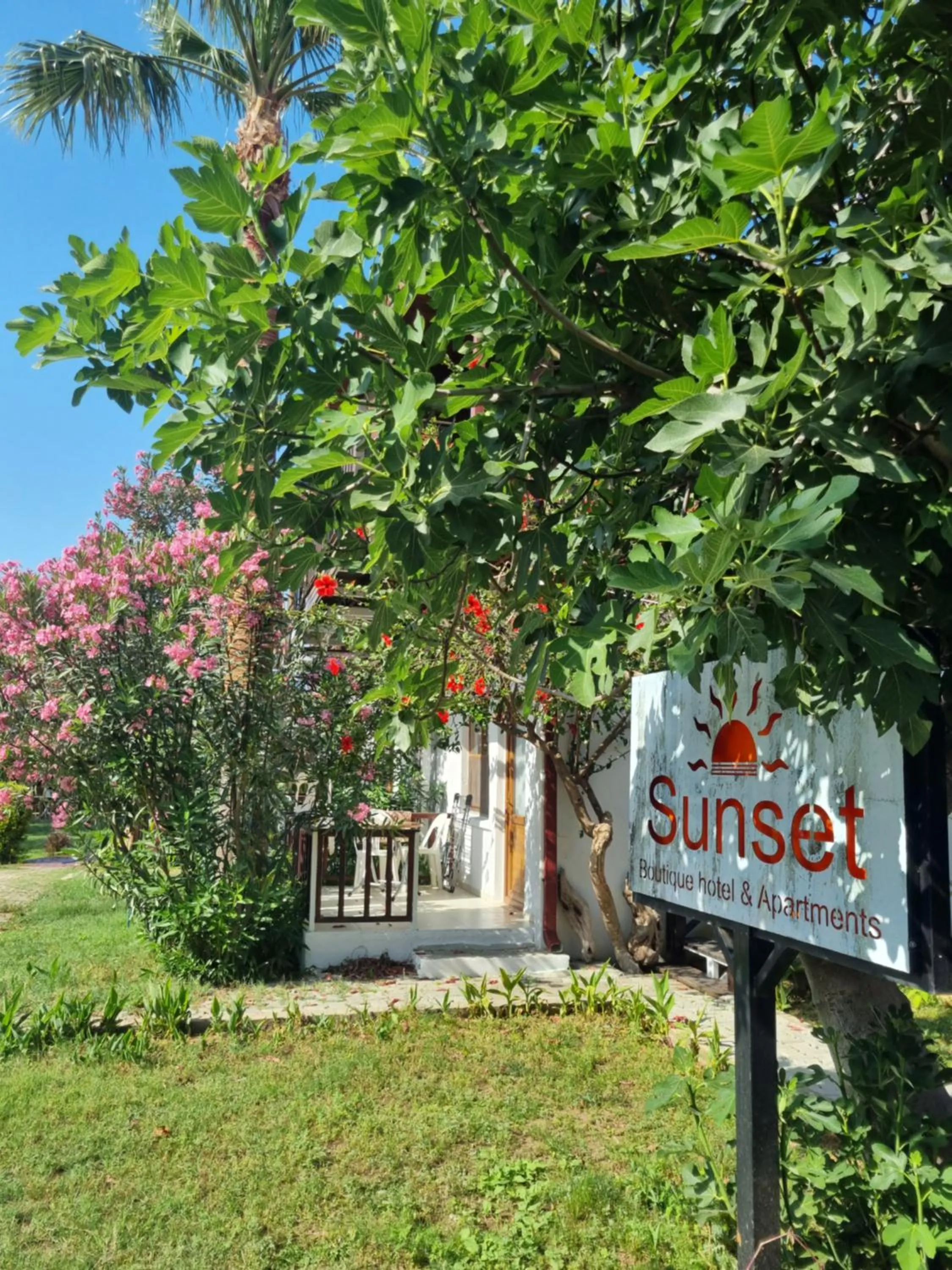 Garden in Sunset Boutique Hotel & Apartments