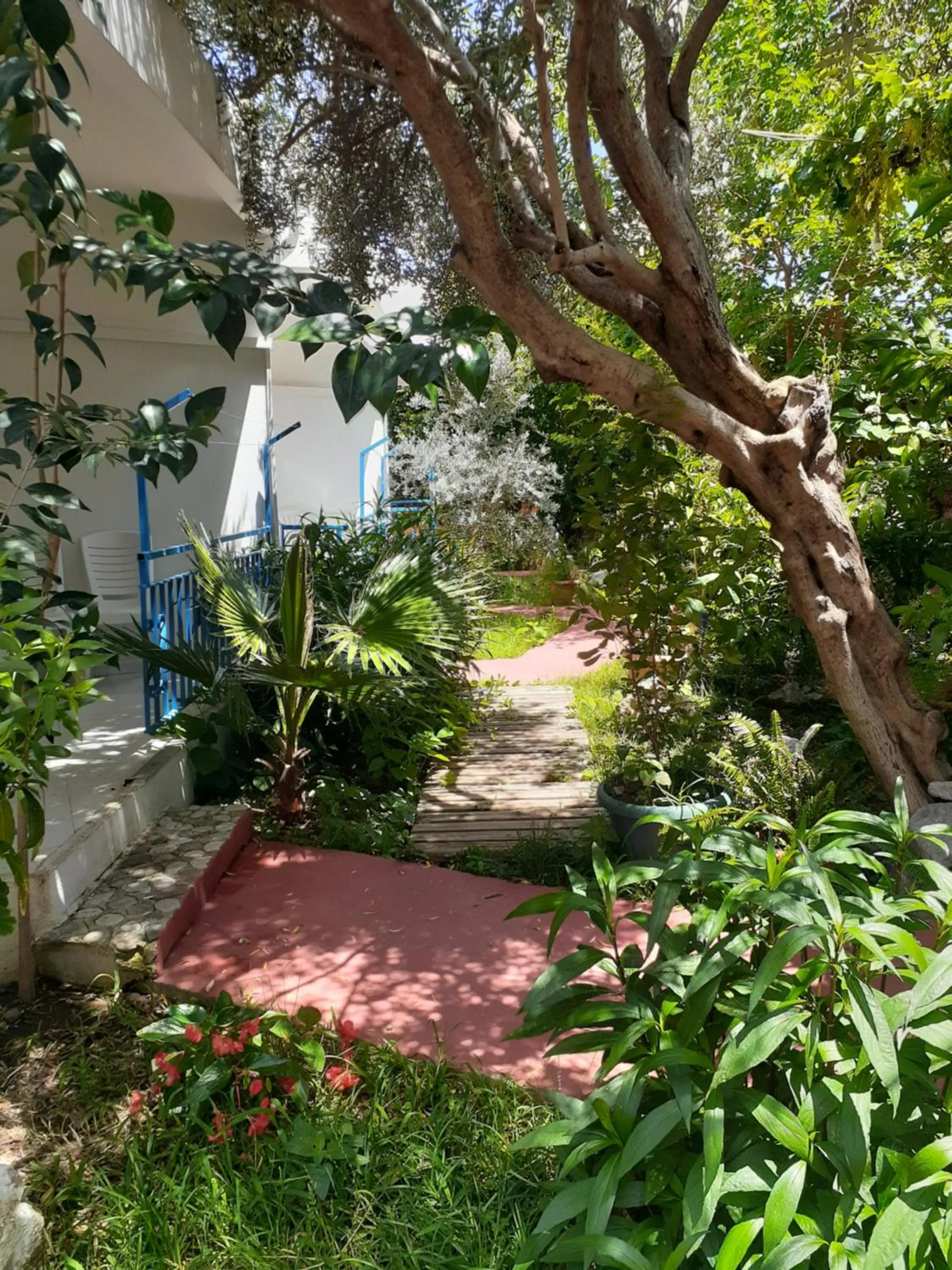 Garden view in Sunset Boutique Hotel & Apartments