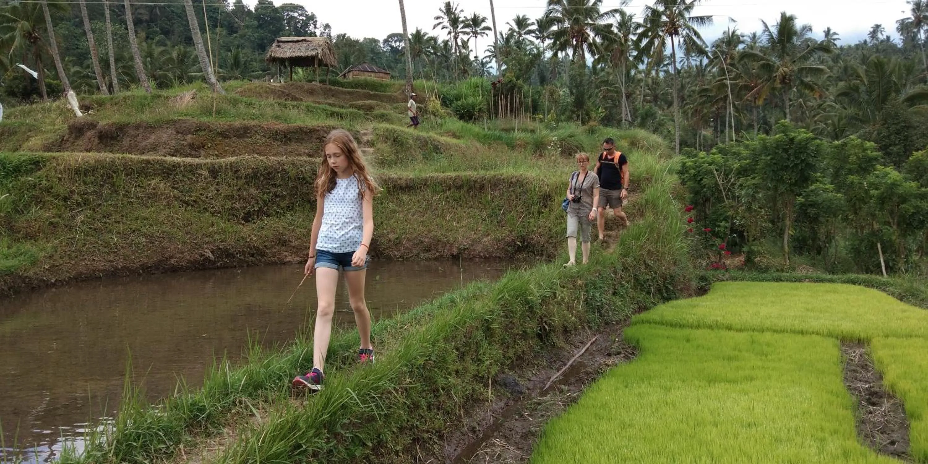 Spring in Mandhasativa Homestay