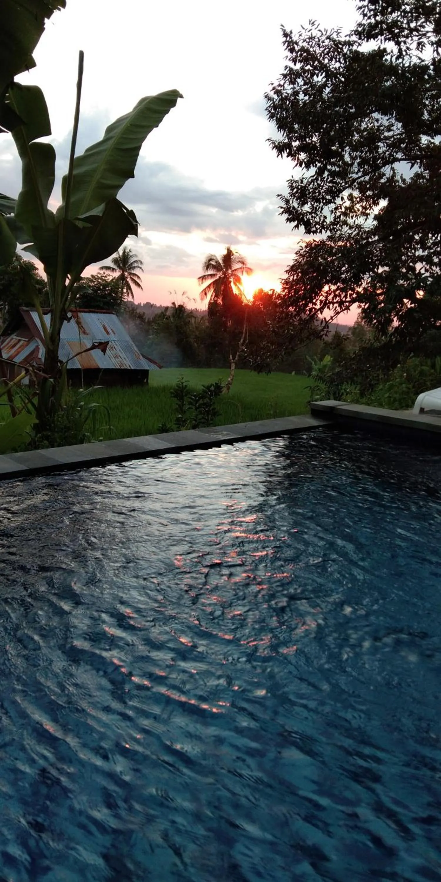 Day in Mandhasativa Homestay