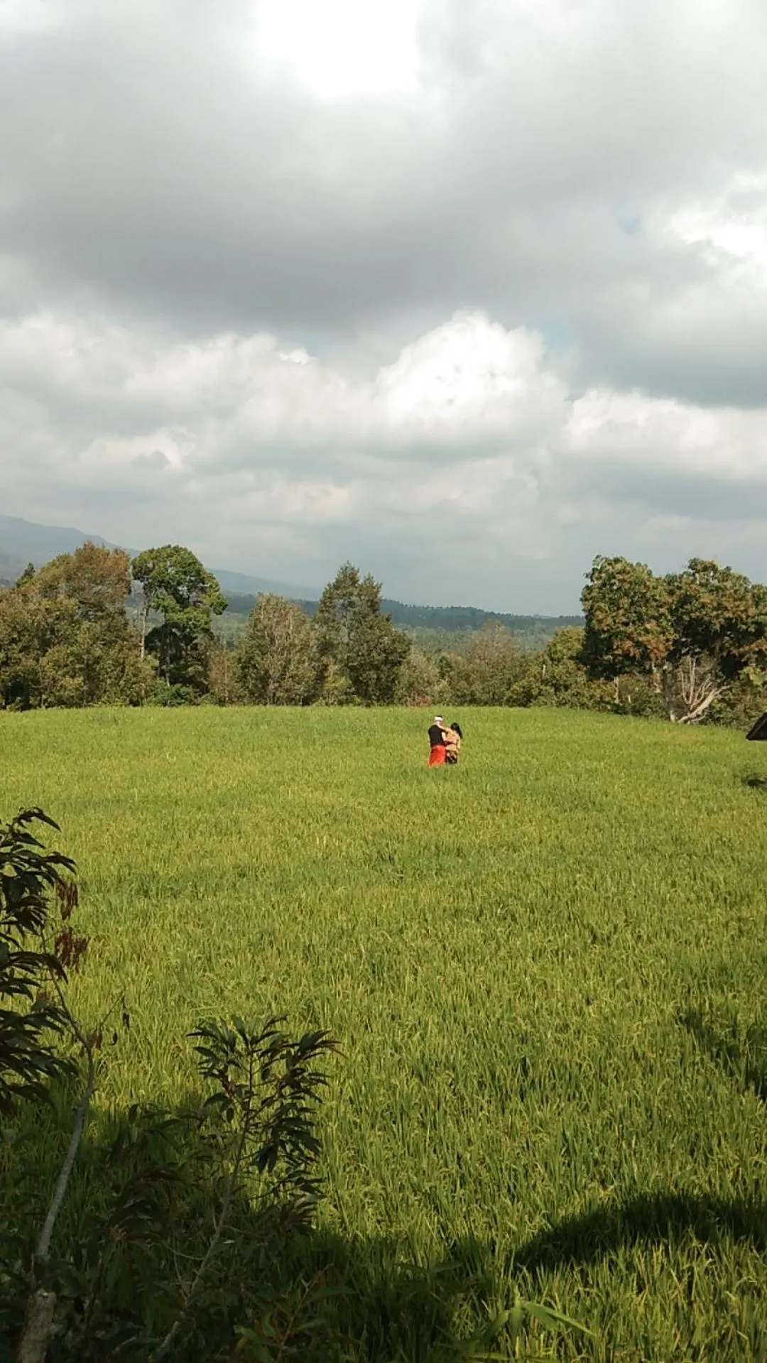 Natural landscape in Mandhasativa Homestay