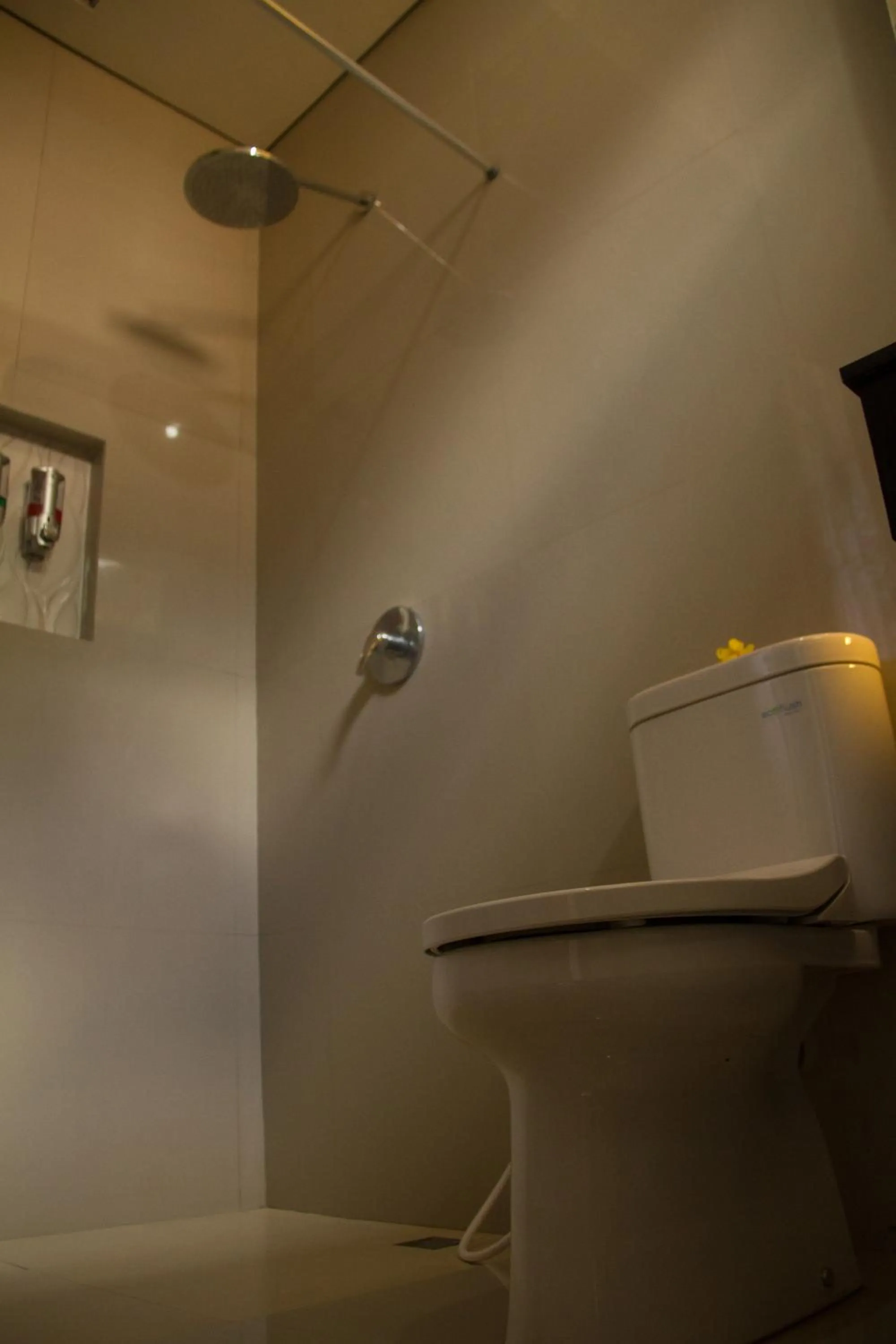 Shower in Mandhasativa Homestay