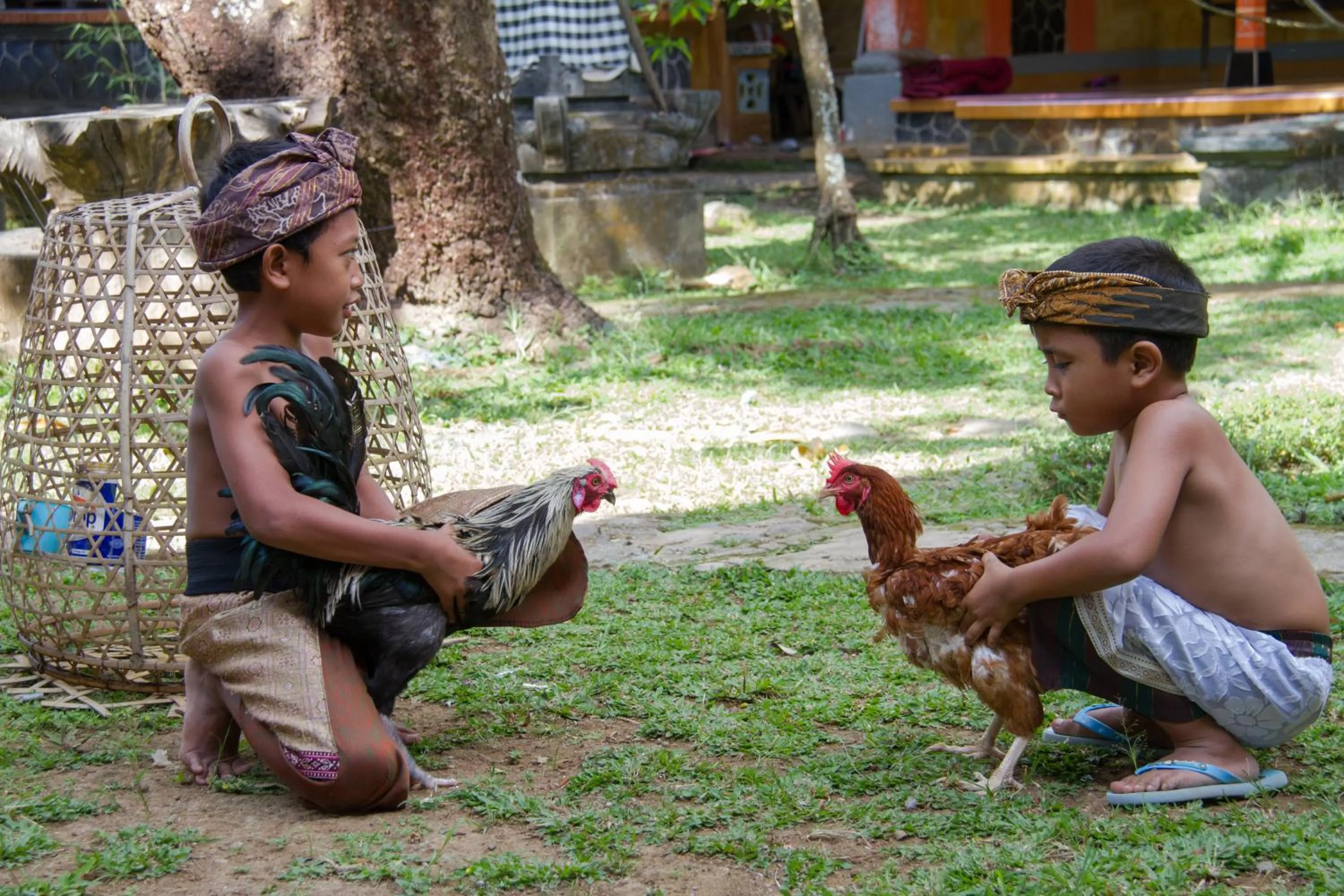 Day in Mandhasativa Homestay