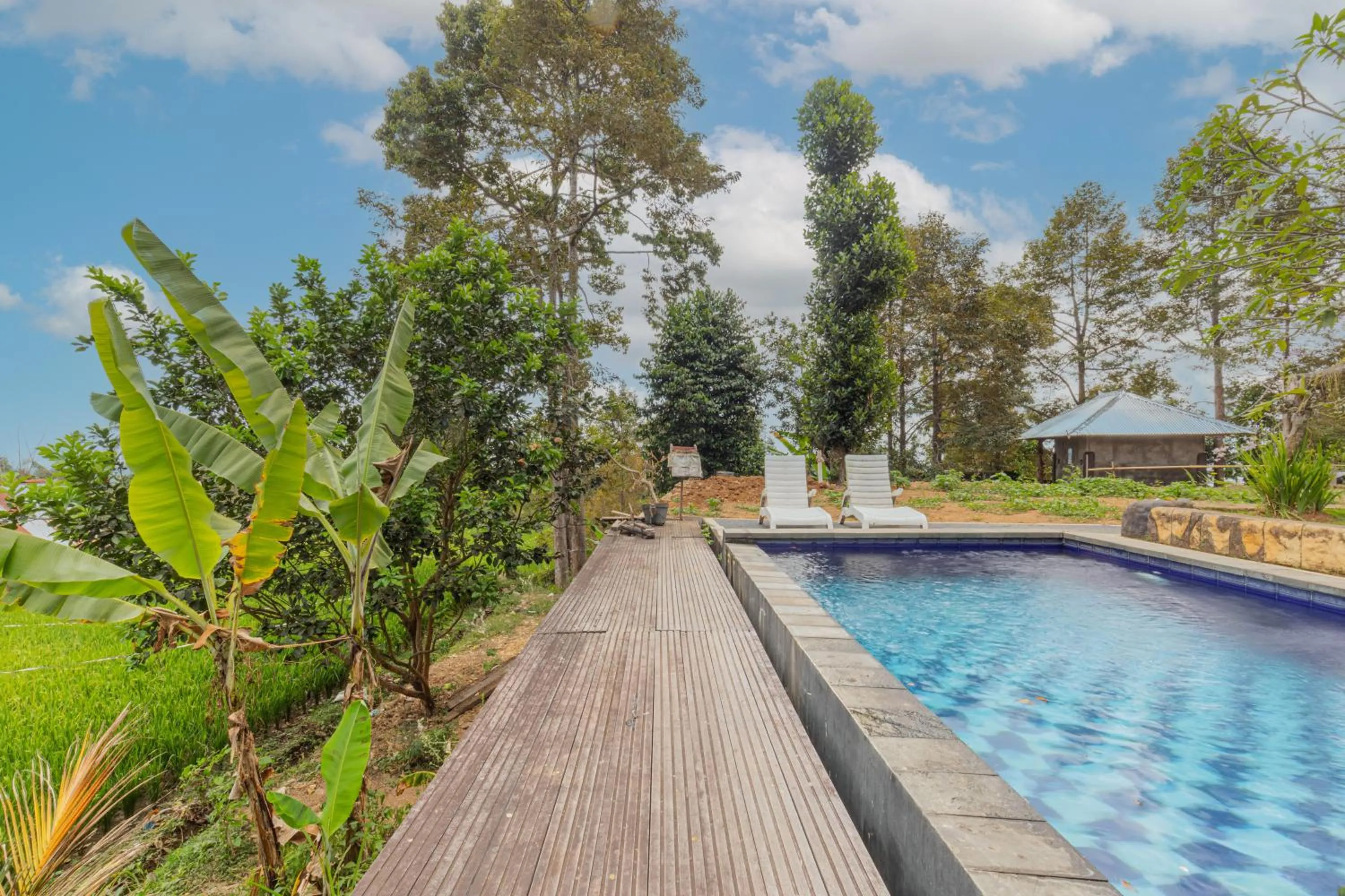 Swimming pool in Mandhasativa Homestay
