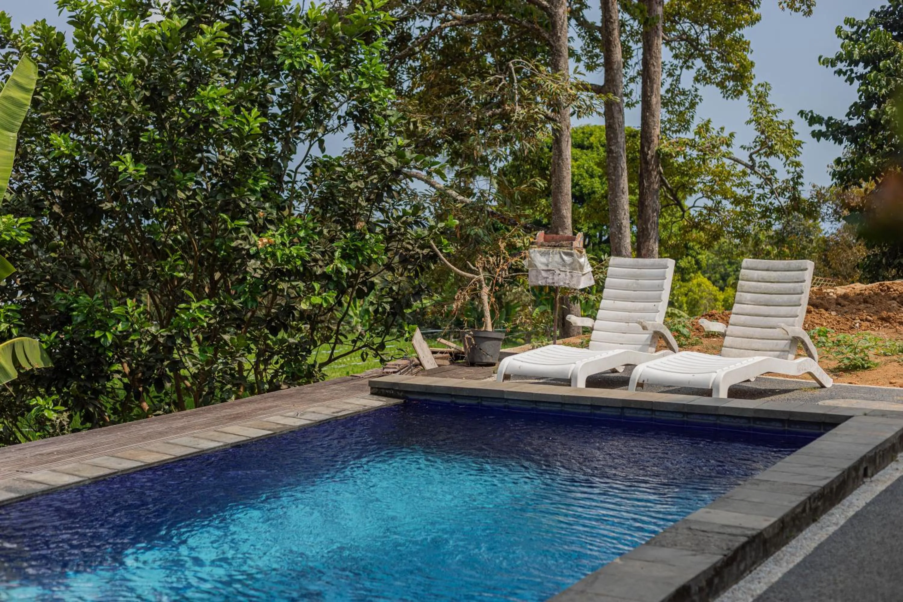 Spring in Mandhasativa Homestay