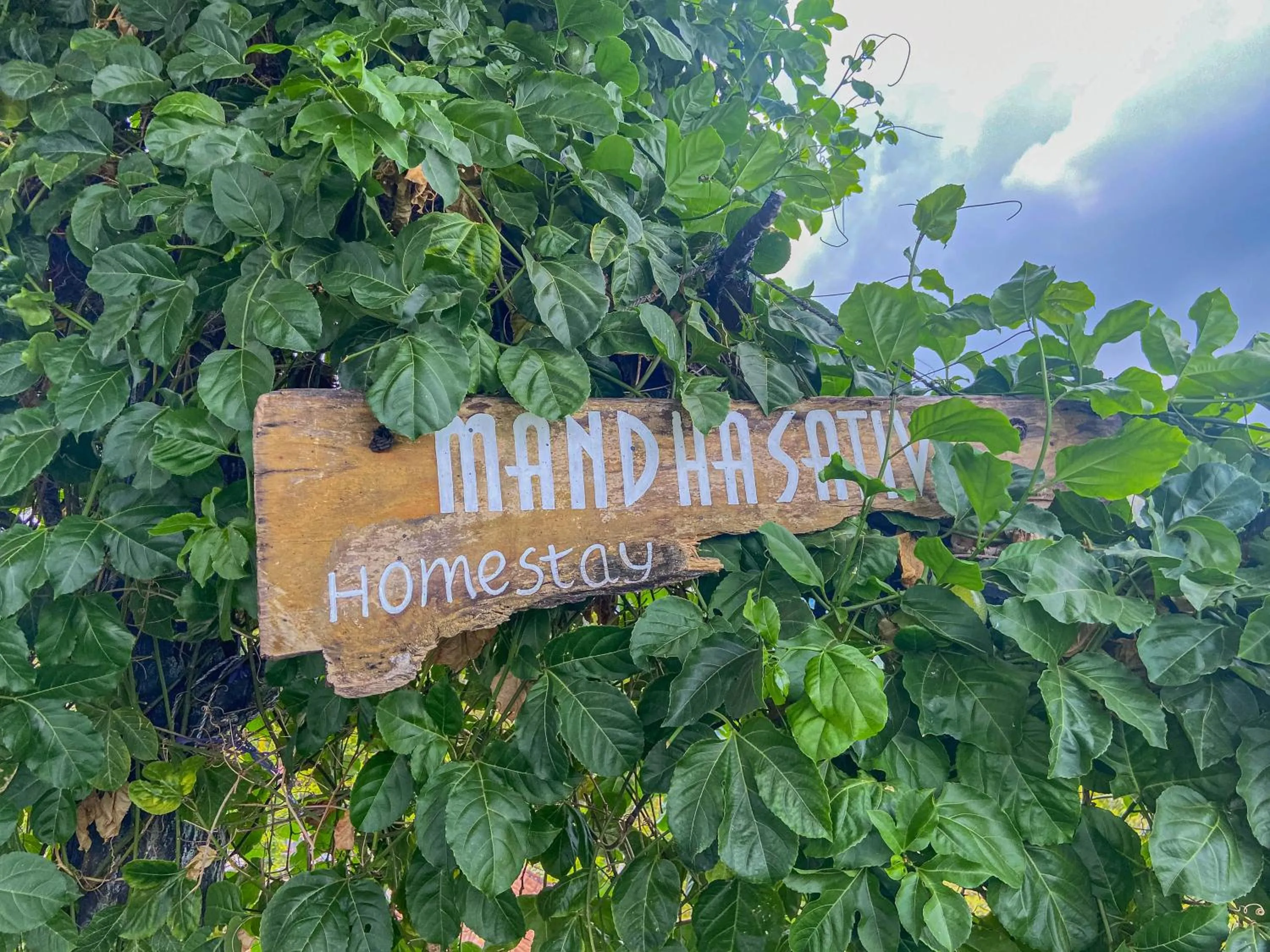 Day in Mandhasativa Homestay