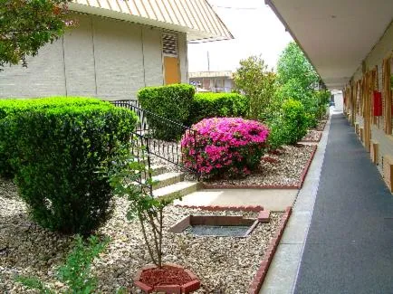 Decorative detail in Executive Inn and Suites Springdale