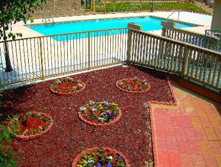 Day in Executive Inn and Suites Springdale