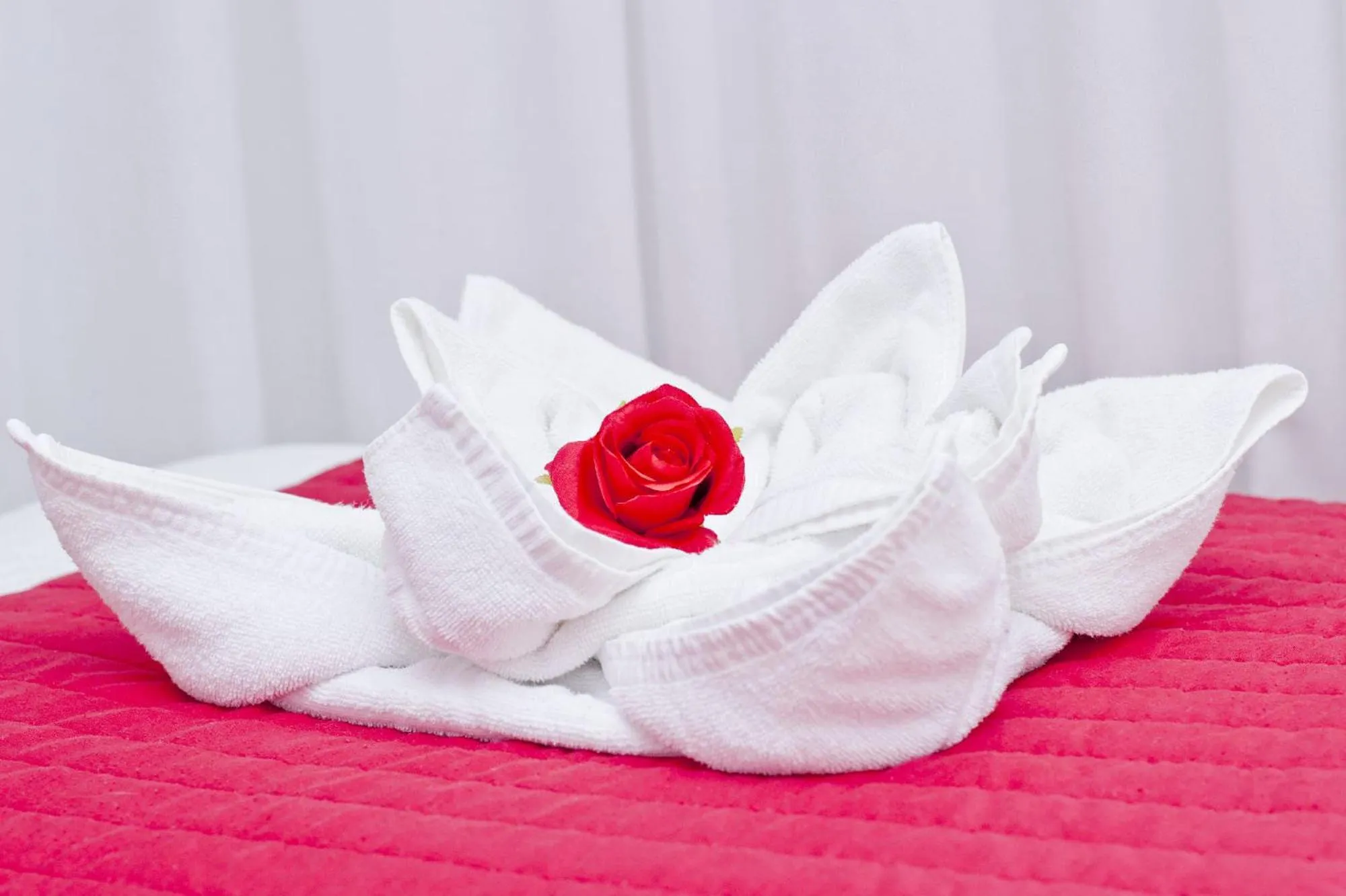 Bed in Barcelona City Rooms Hostal