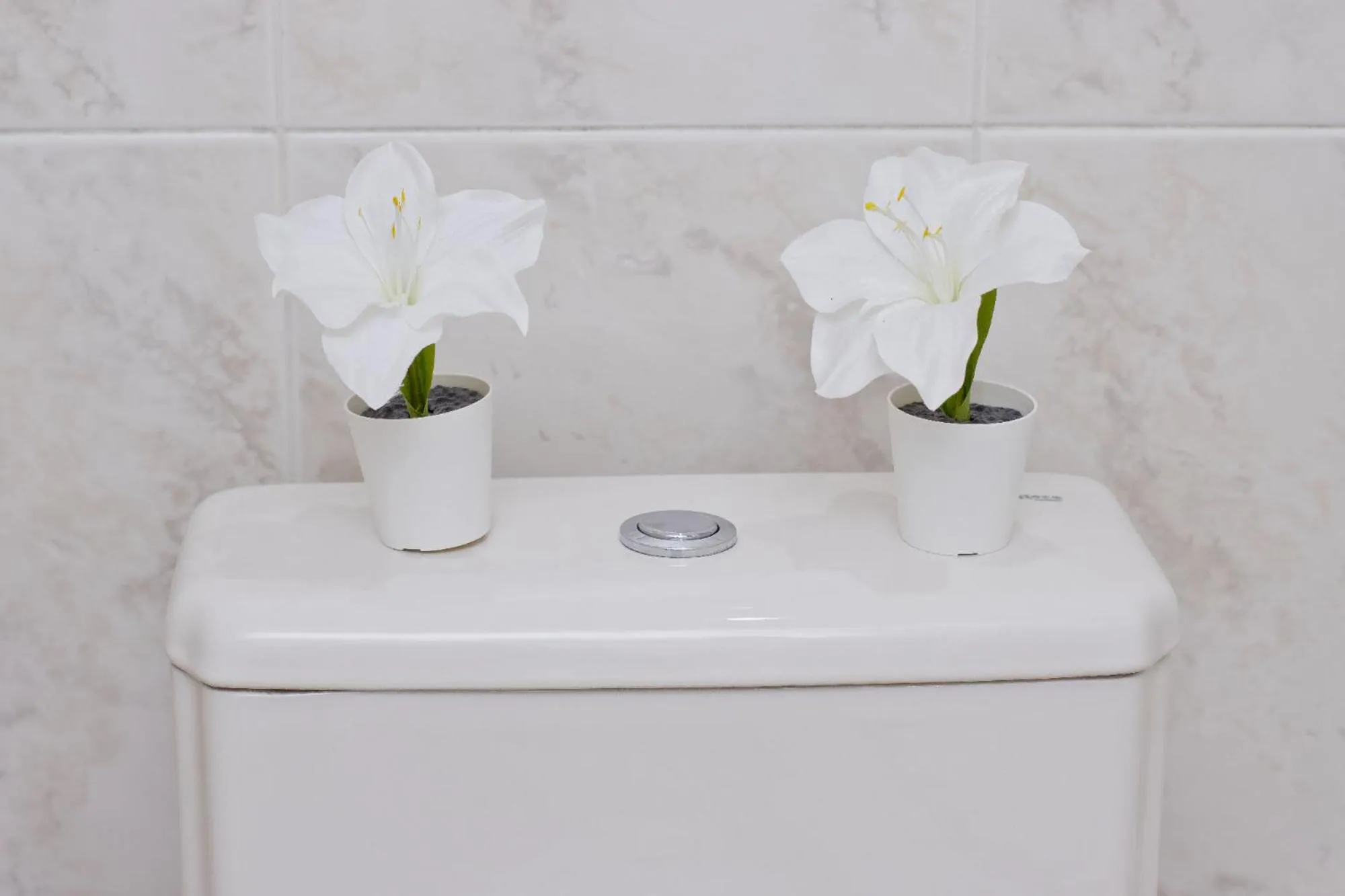 Barcelona City Rooms Hostal