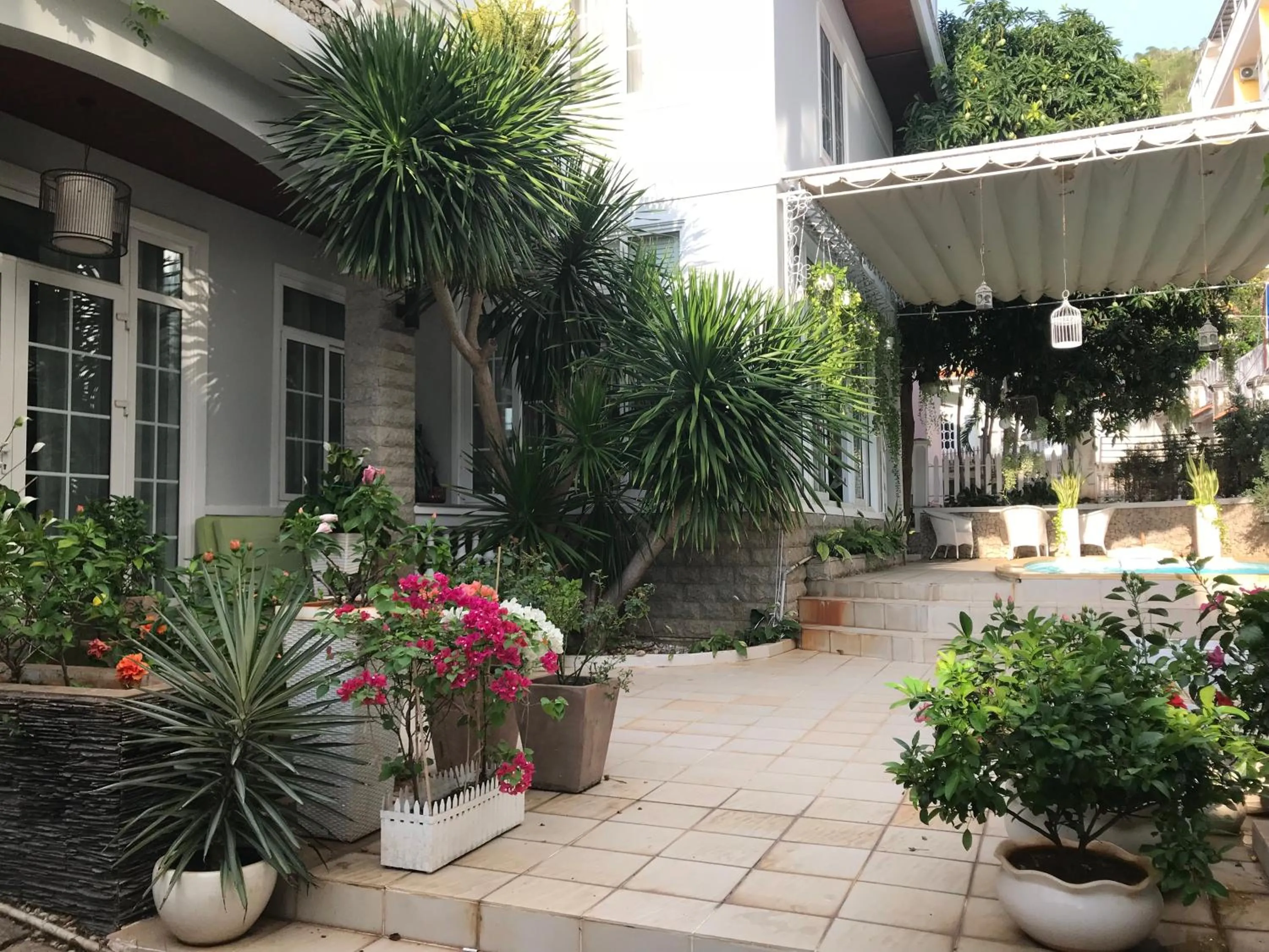 Property building in Nancy Rio Beach Villa
