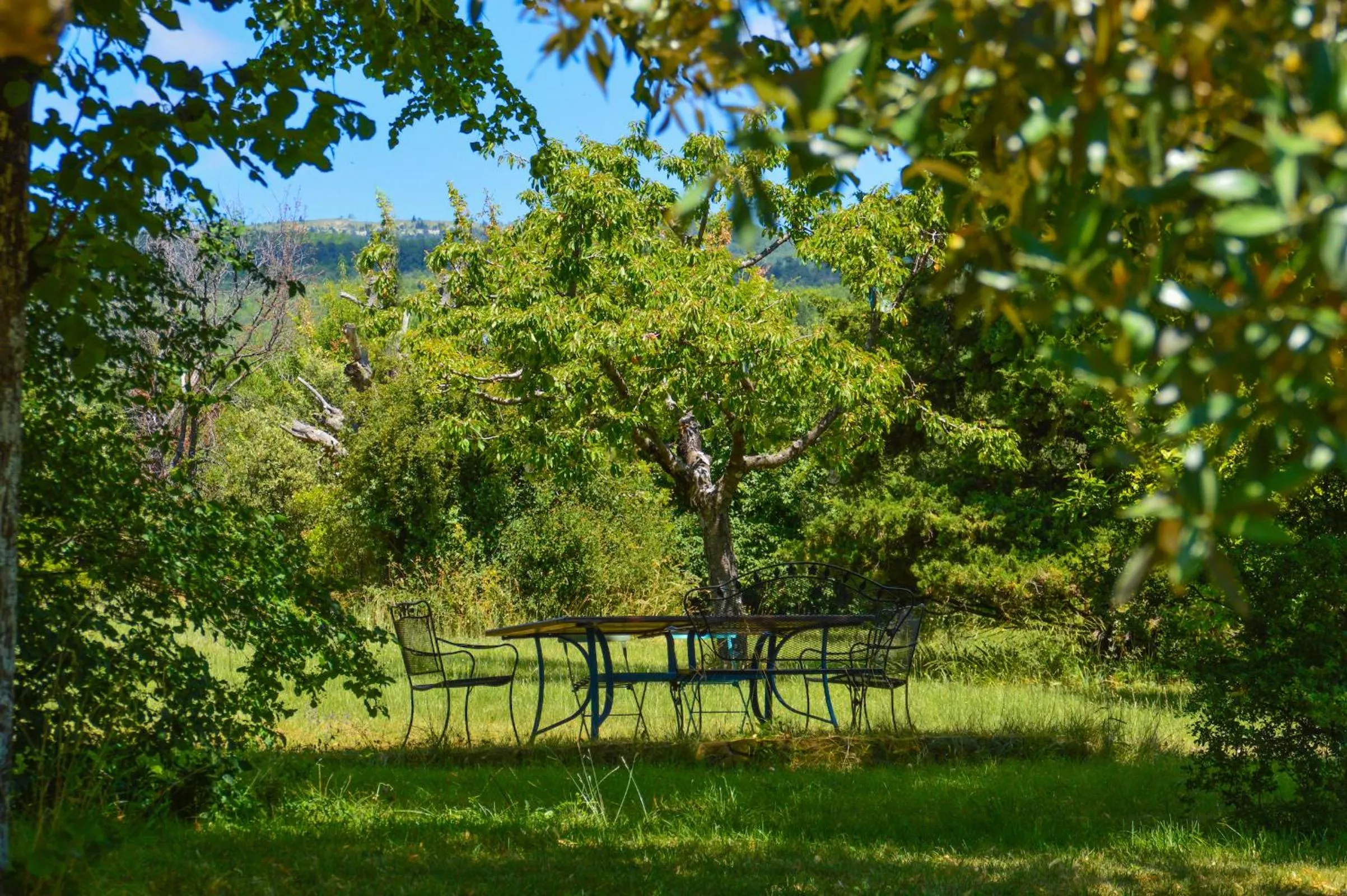 Garden in La Bastide Du Claus - Vitaverde