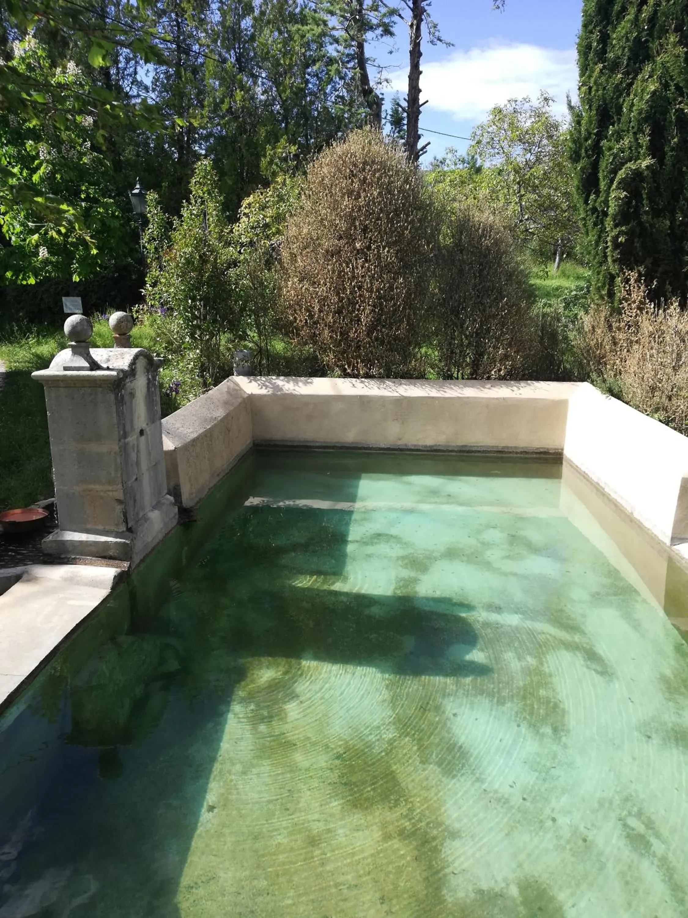 Swimming pool in La Bastide Du Claus - Vitaverde