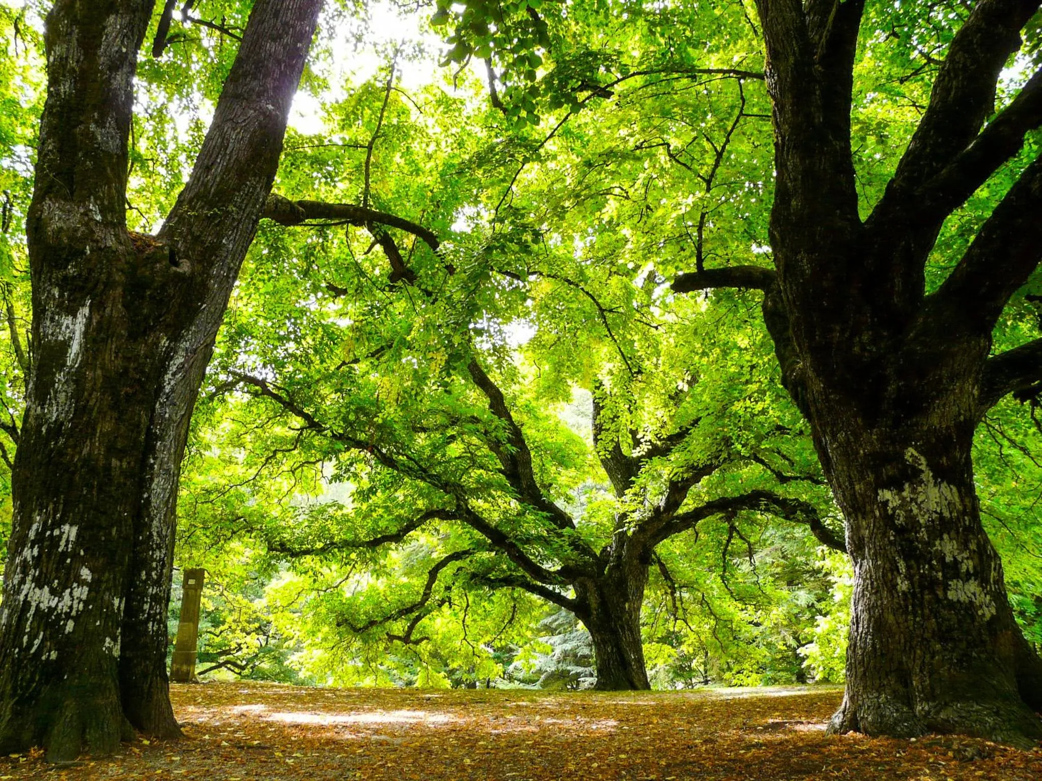 Natural landscape in La Bastide Du Claus - Vitaverde