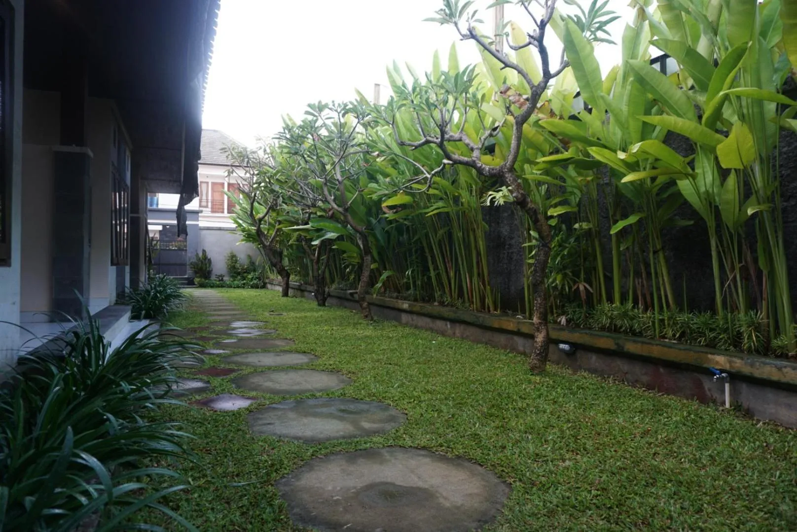 Garden in Mai Guest House Sanur